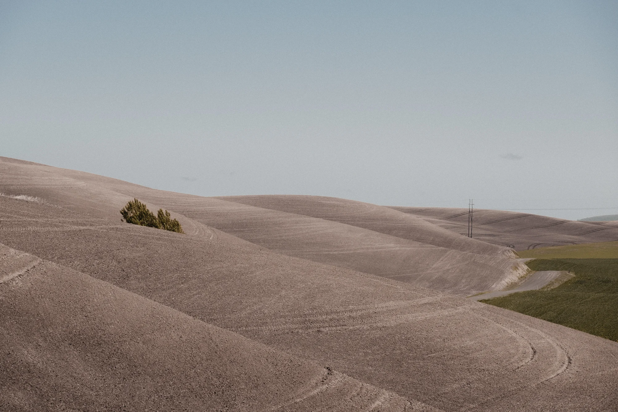 DSCF6711_Palouse.jpg