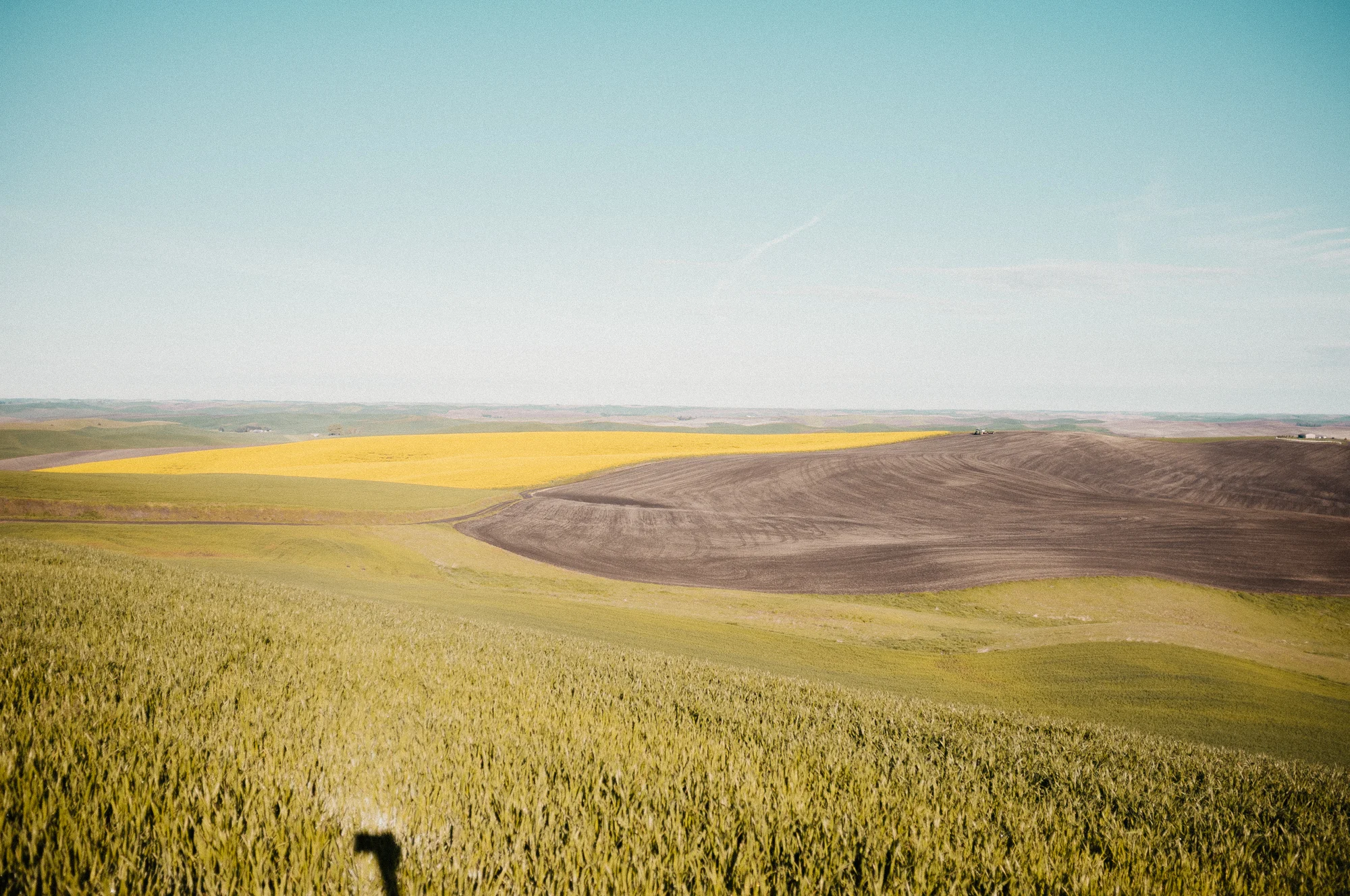 DSCF1352_Palouse.jpg