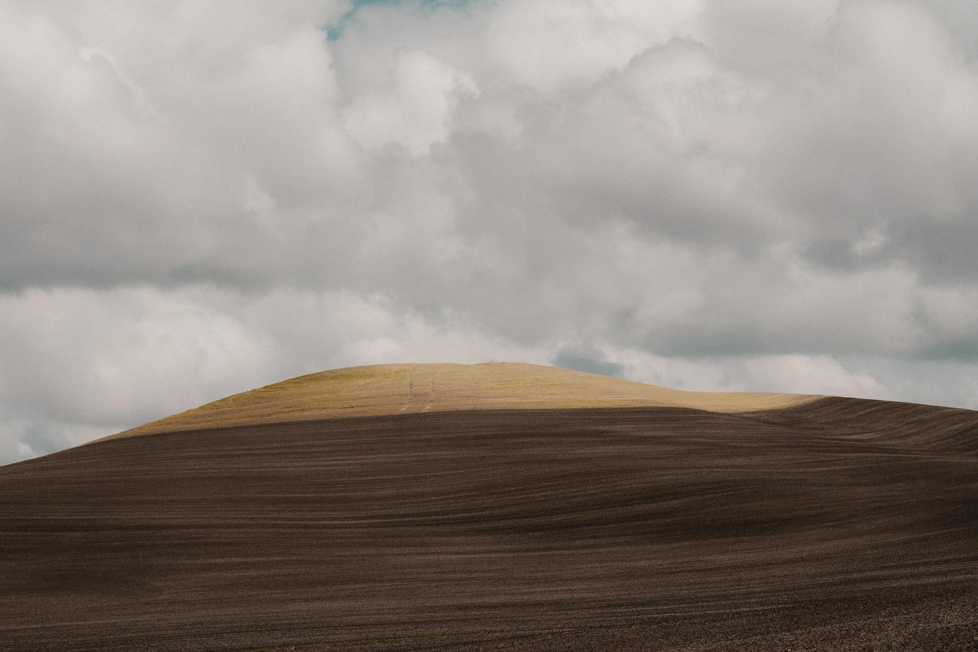 DSCF6529_Palouse.jpg