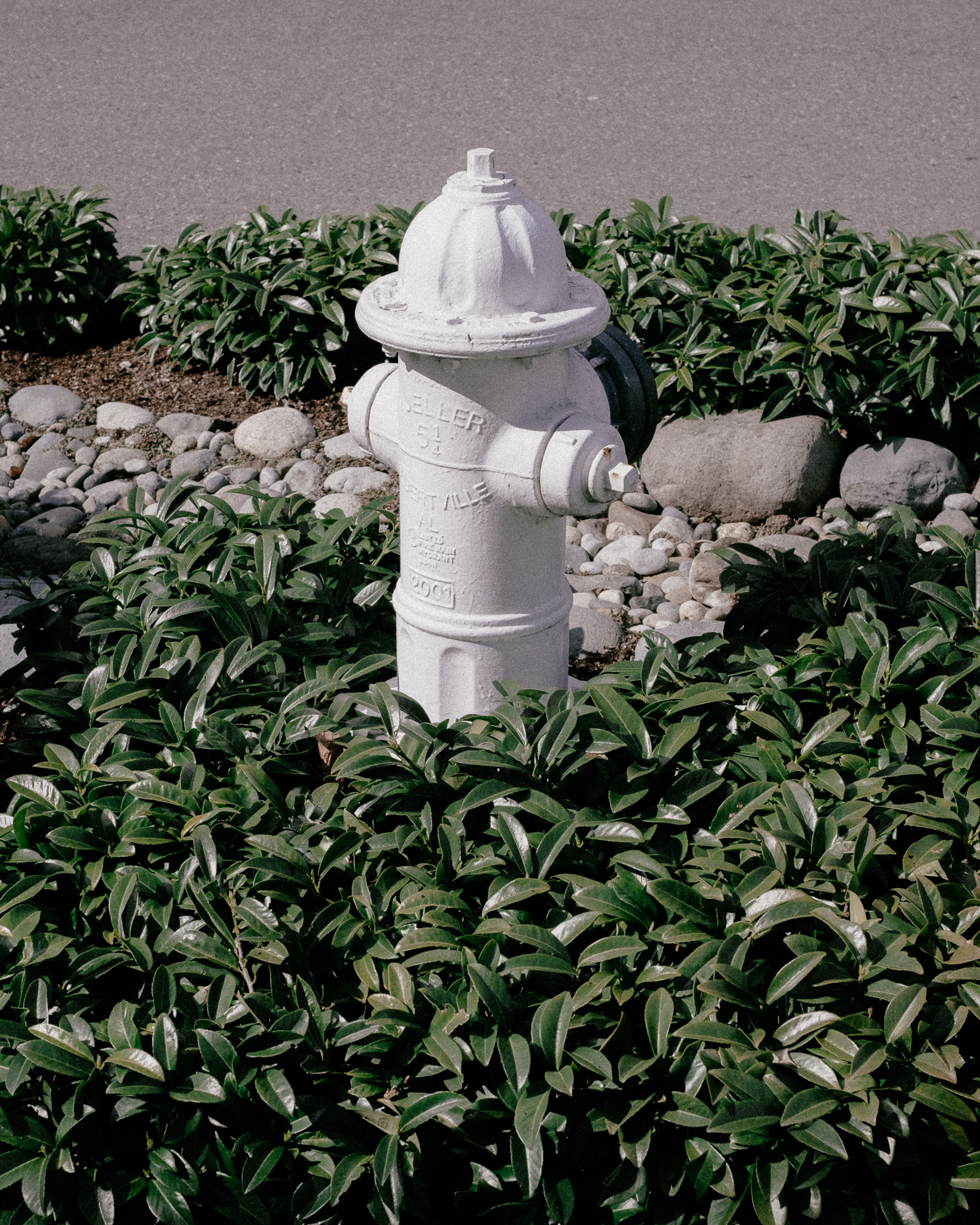 DSCF3612_Spring.jpg