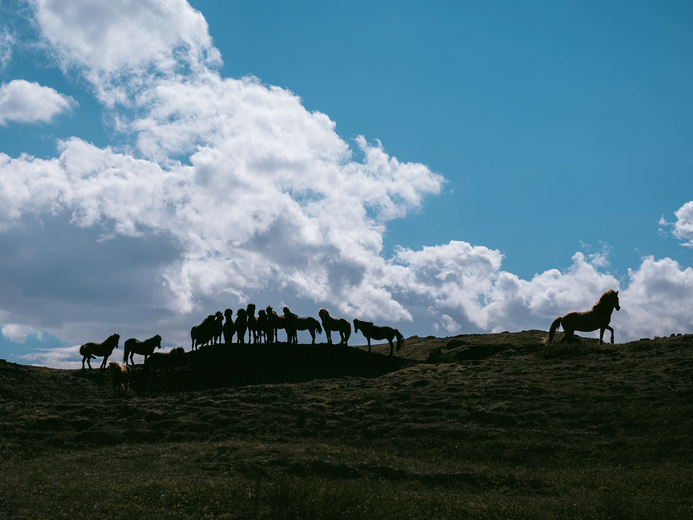 _LFH3662_Iceland-Gallery.jpg