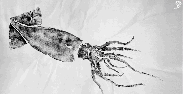 Jun-21-2023 07-05-54.gif