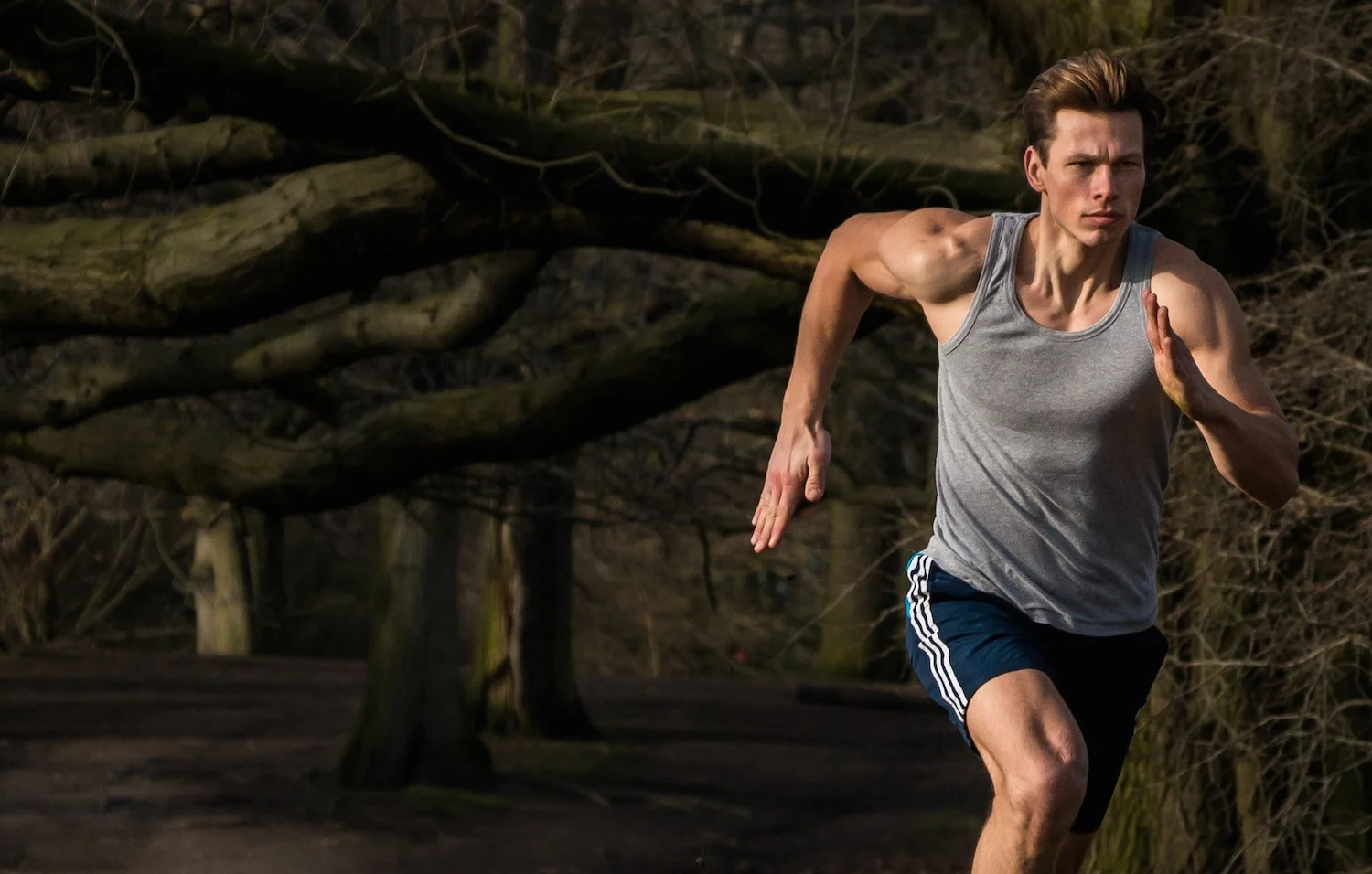 IMG_0803-1 D small.jpeg