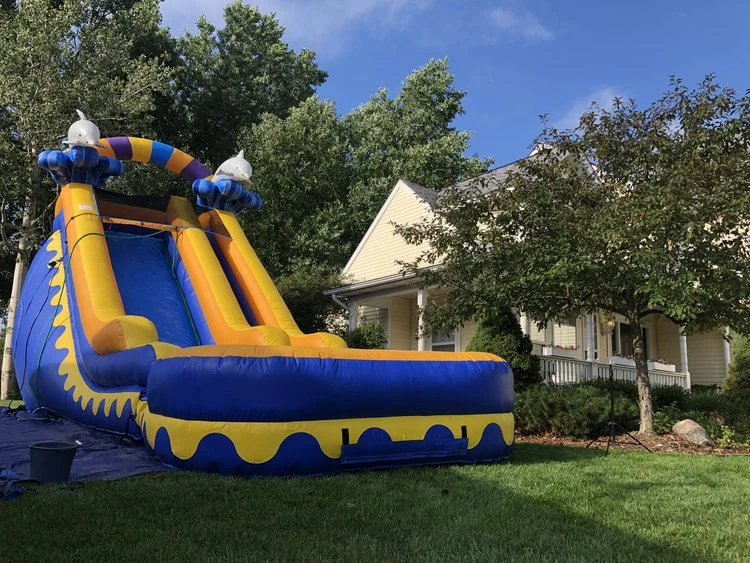 Dolphin Slide.jpeg