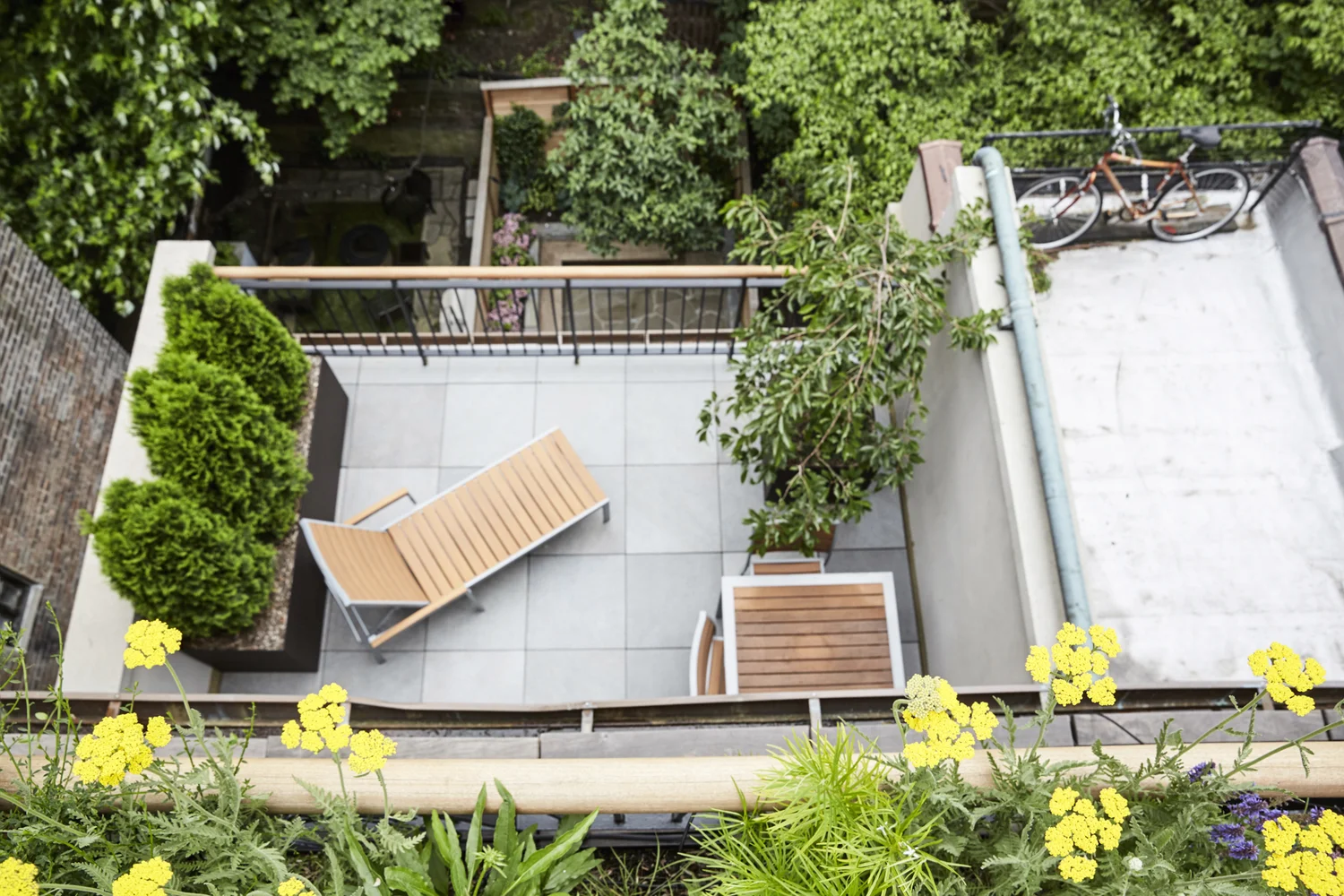 Elevations Landscape Design & Build - New York