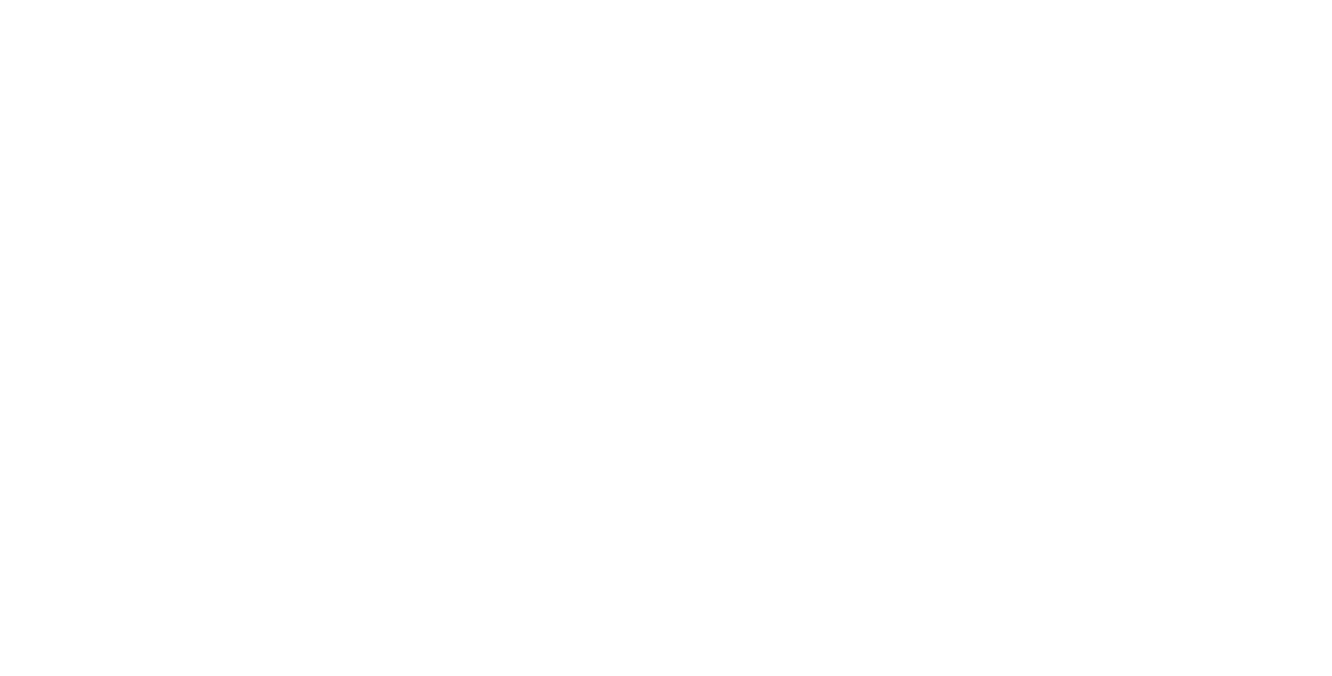 SOJ_logo_valkoinen.png