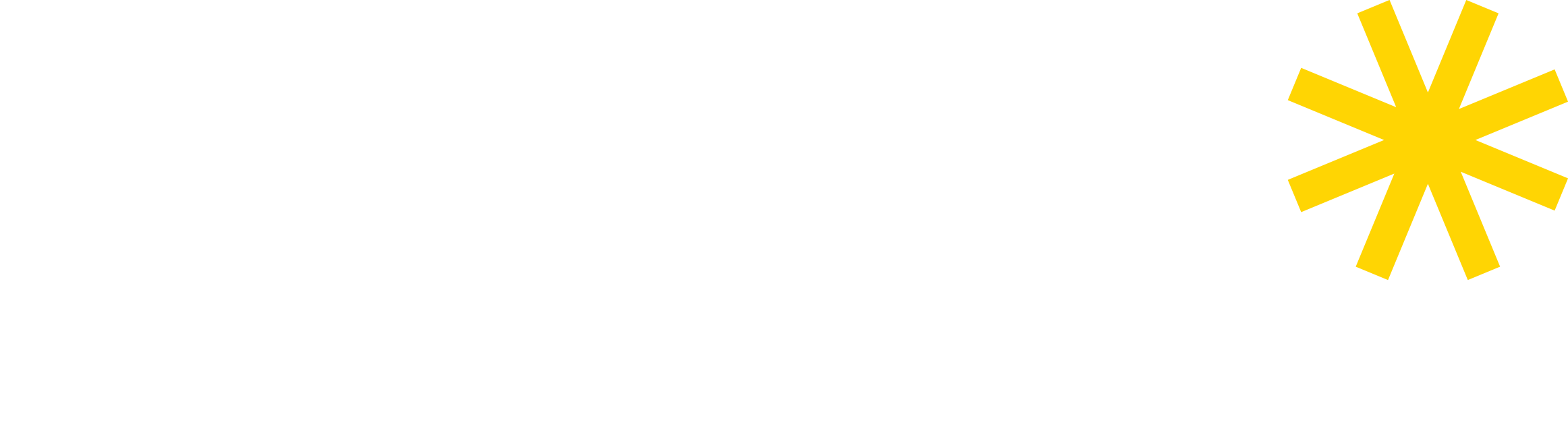 turun_amkn_logo_valkoinen_teksti.png