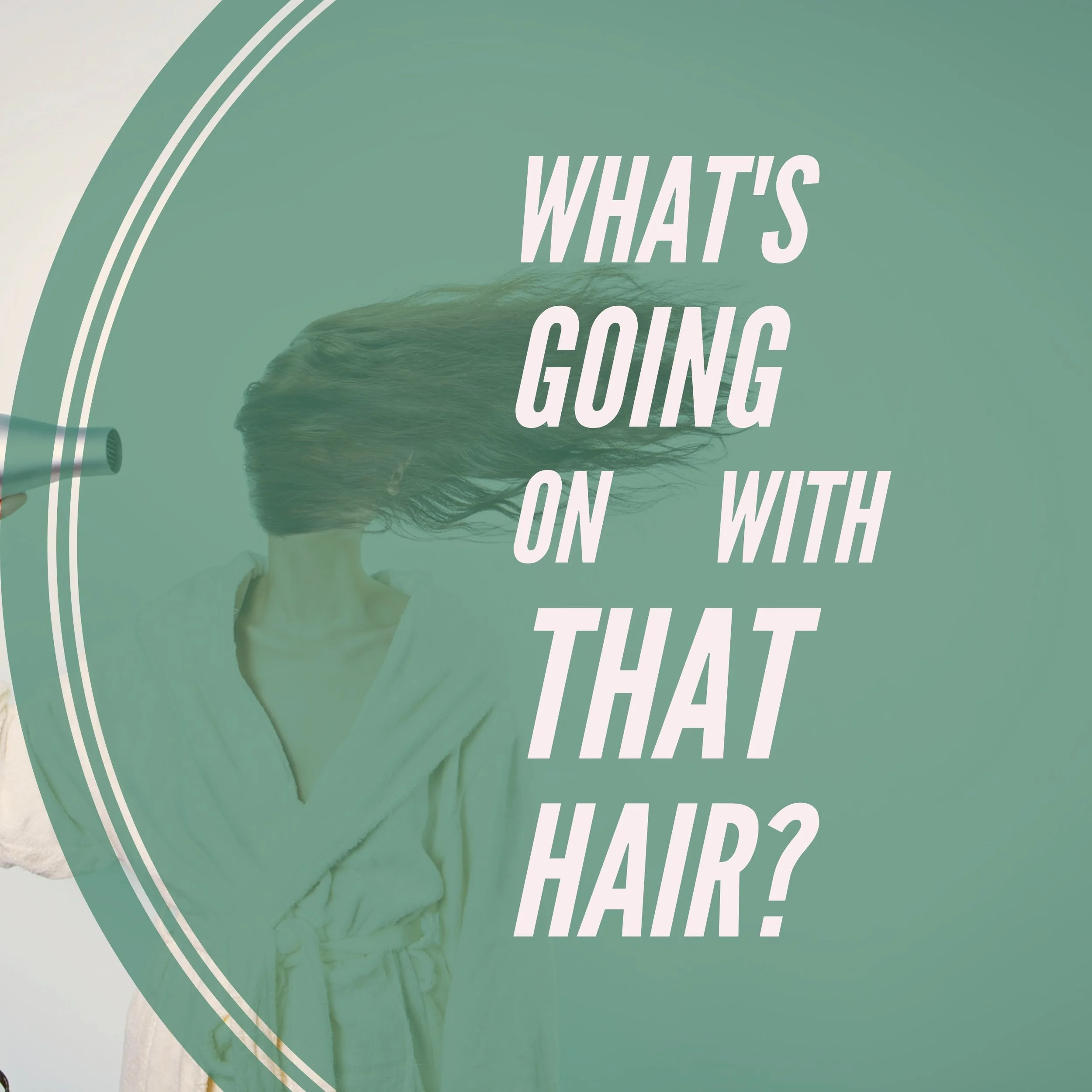 Salon: The Hair you HAVE