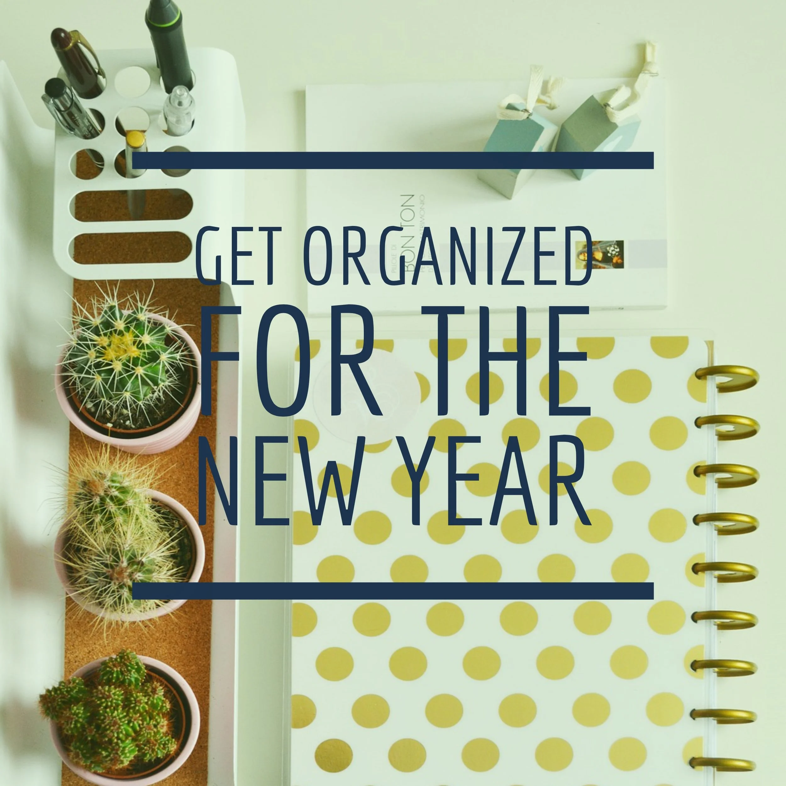 Salon: Organize 2017 