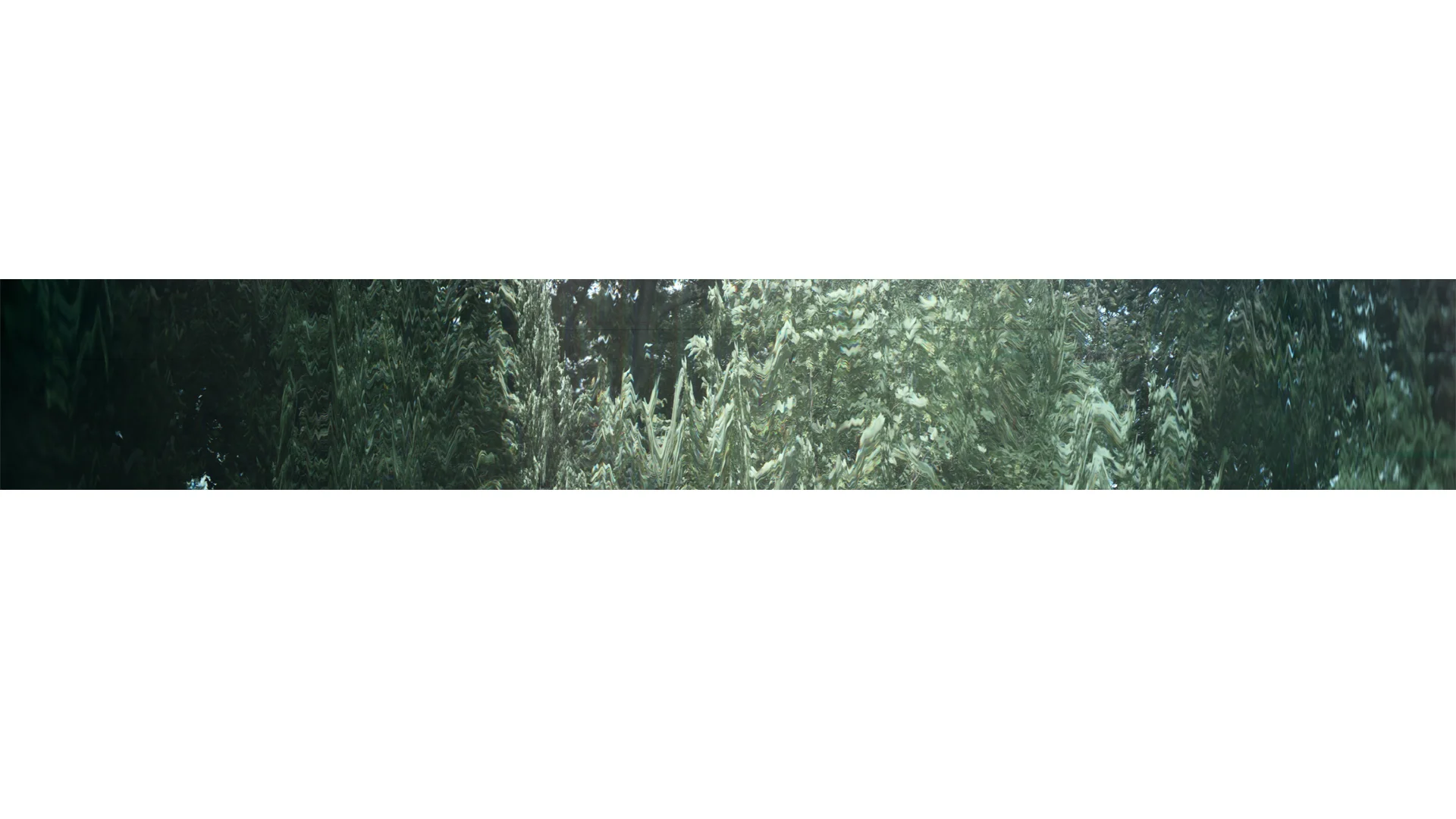 wind