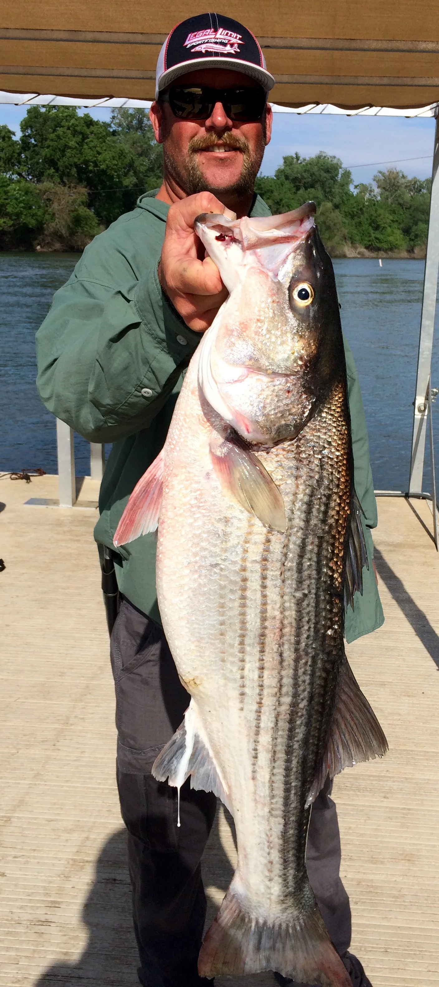 Mike's Fishing Guide & Charter Service For Sacramento River Fishing King Salmon, Striped Bass