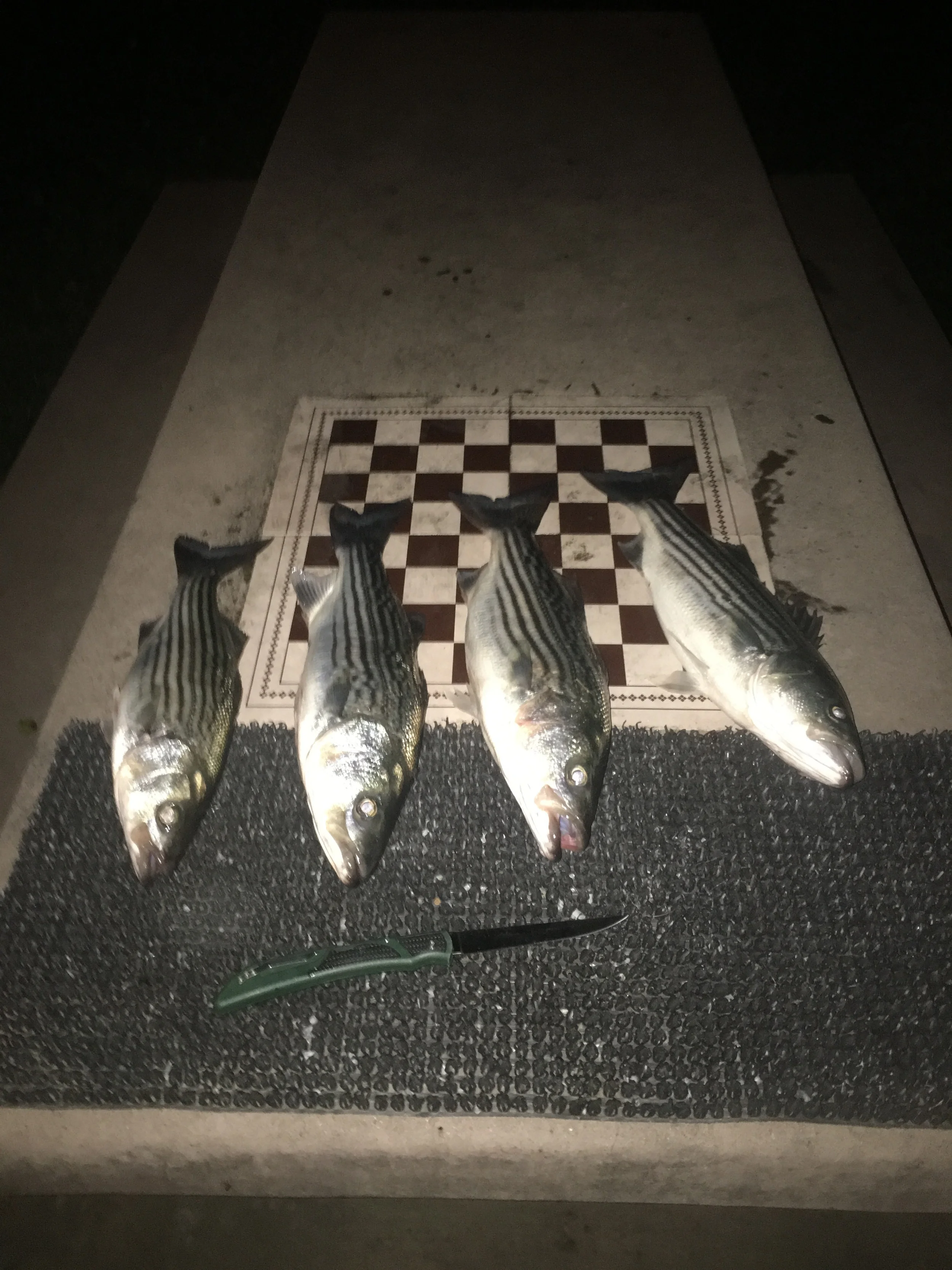 Mike's Fishing Guide & Charter Service For Sacramento River Fishing King Salmon, Striped Bass