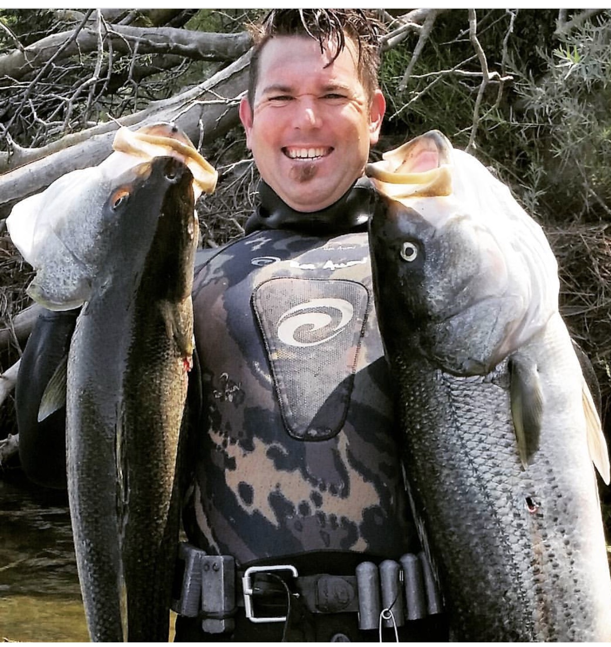 Spear fishing Sacramento River Striped bass with SalmonSacRiver.com
