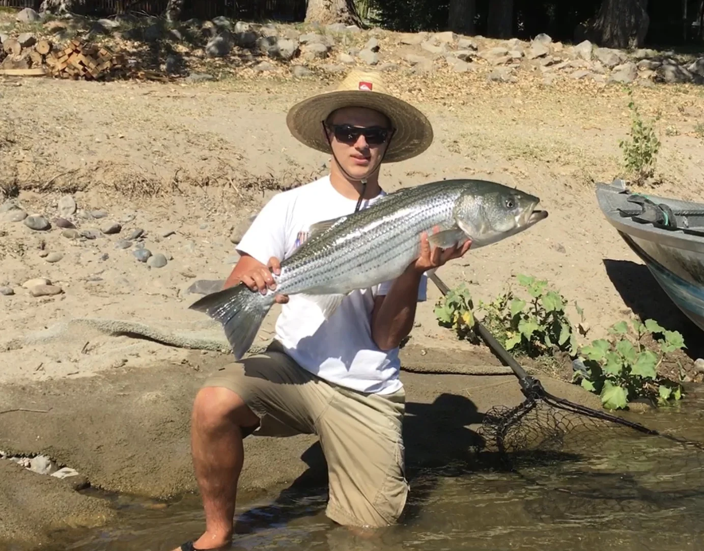 Big Sacramento River striped bass caught with Mikes Guide Service