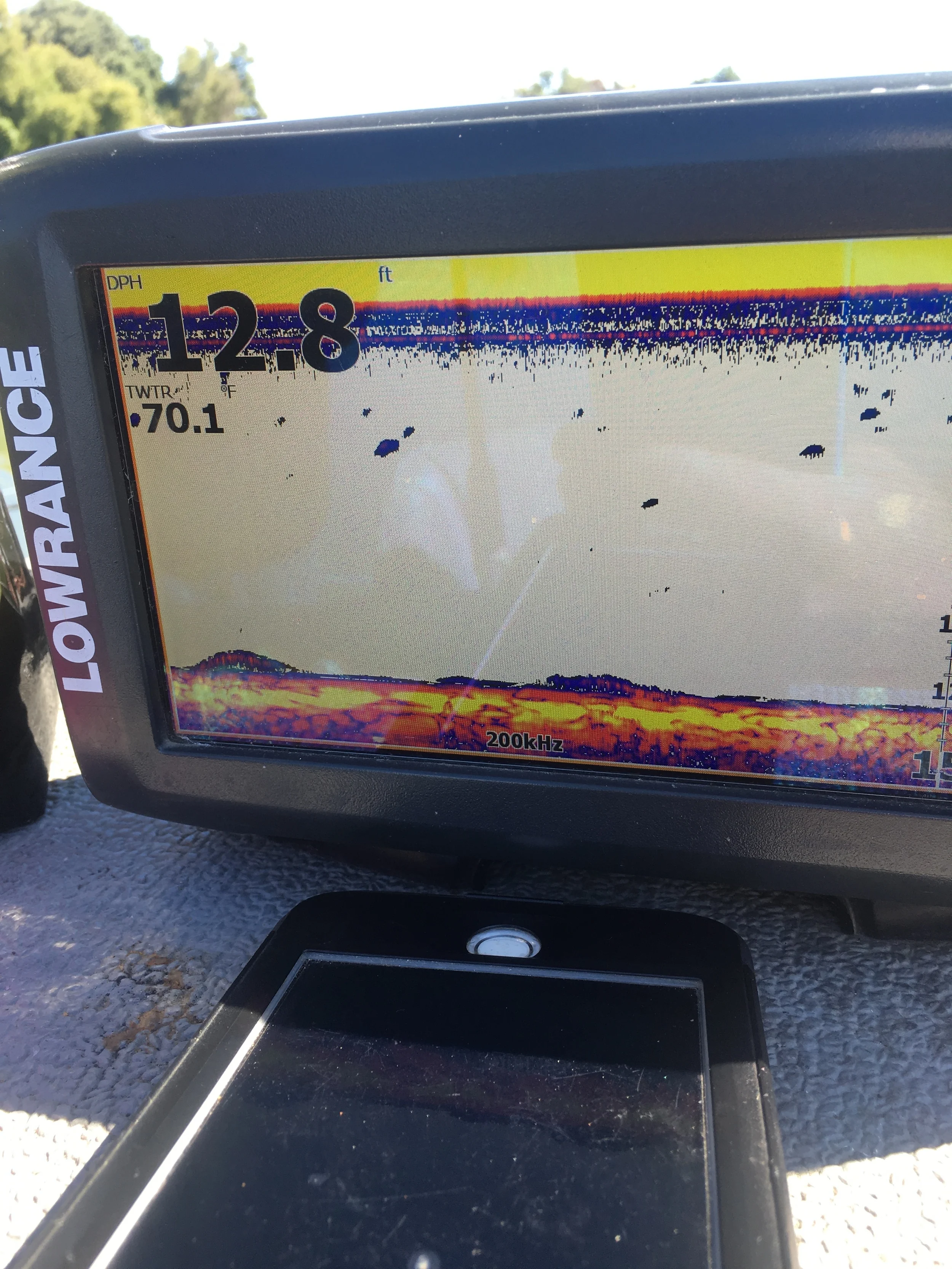 Sacramento King Salmon appear on guide Mike Rasmussen's fish finder