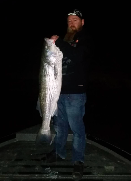 Night time striper bite on the lower Sacramento River