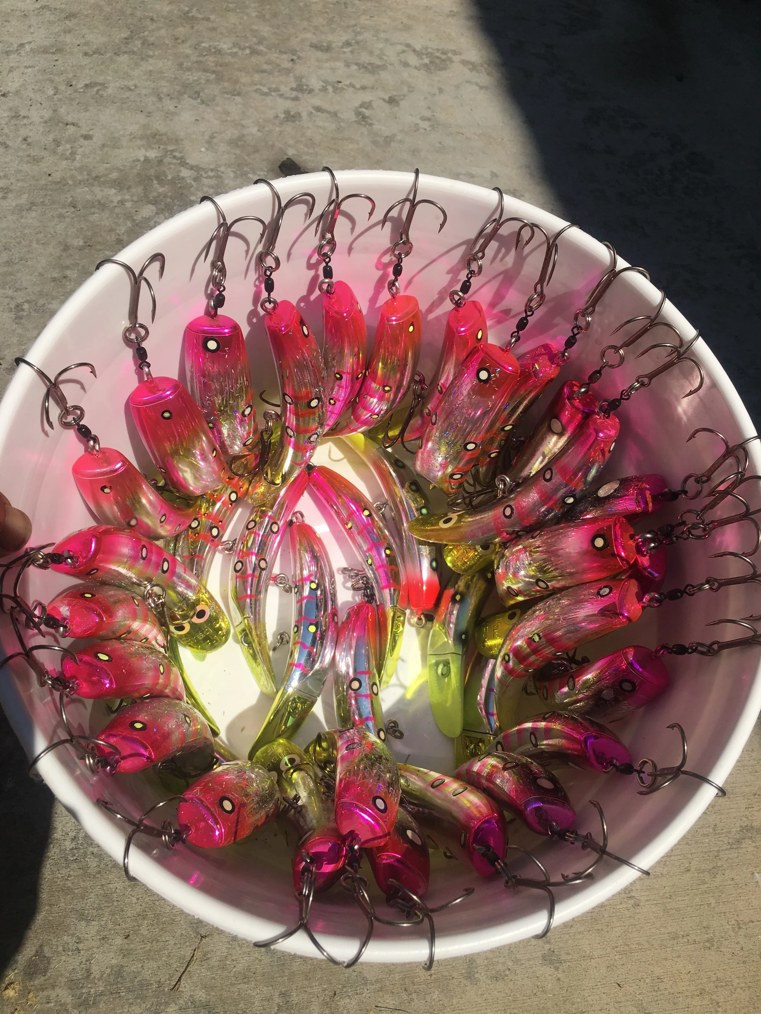 Sacramento River salmon fishing guide Mike Rasmussens' bucket of love