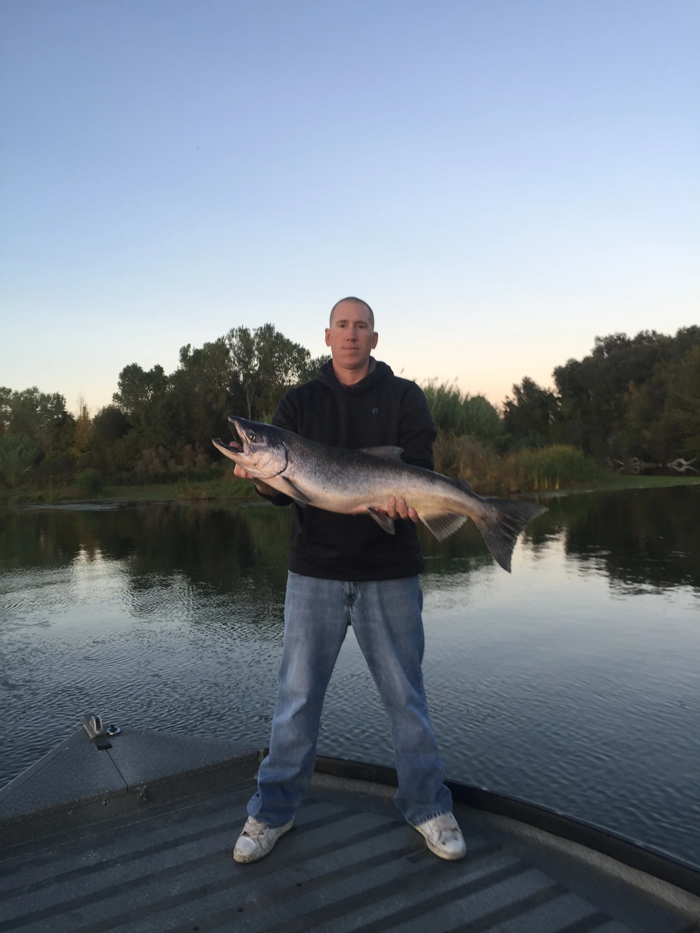 Sacramento River king salmon caught with Mike Rasmussen