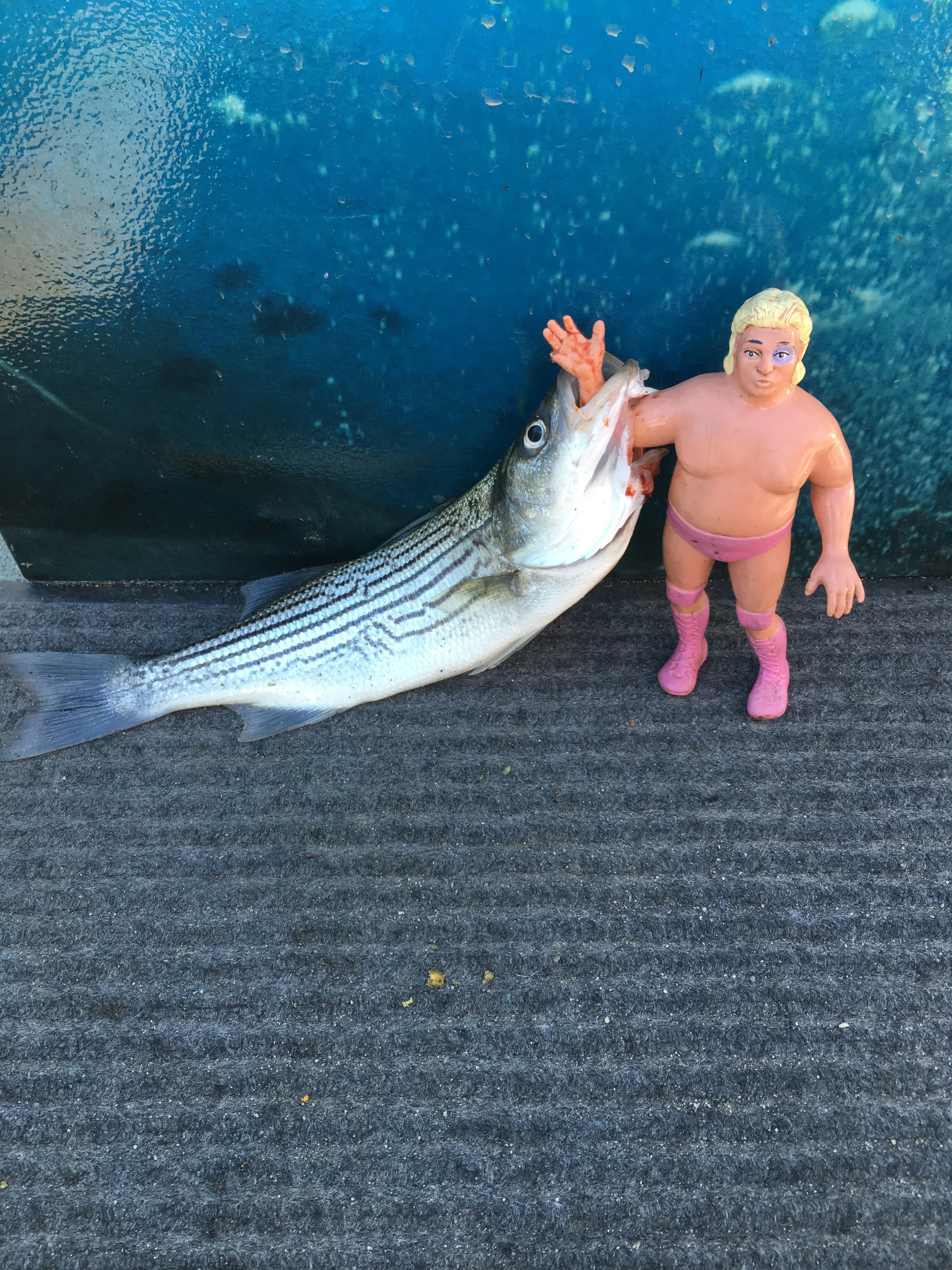 Action Hero photo by SalmonSacRiver.com