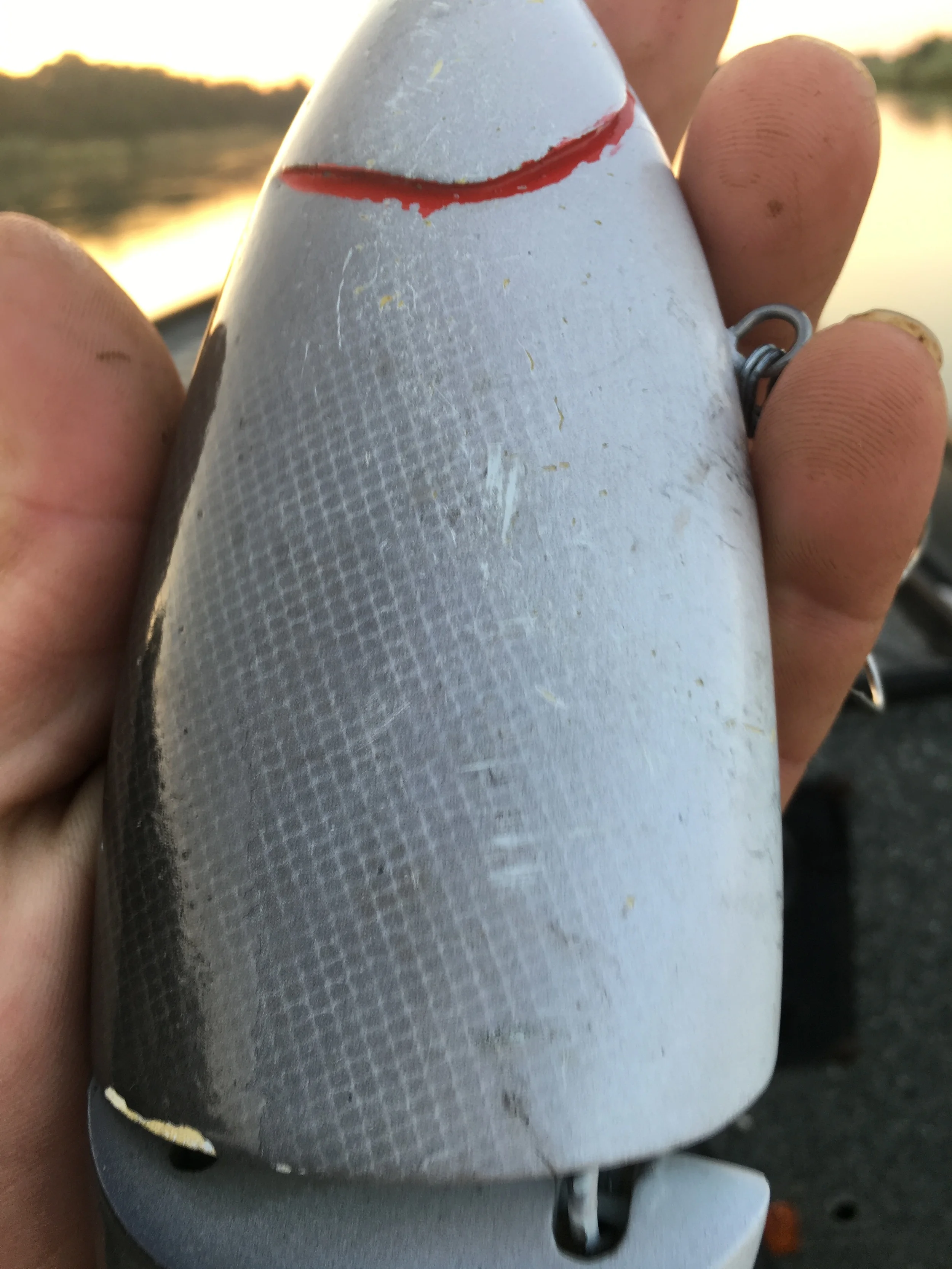 Striped Bass Teeth marks on a GCJcustomlure August 17, 2016