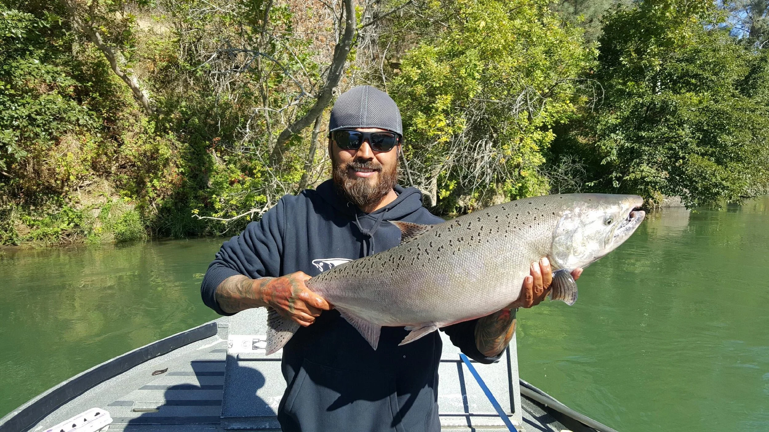 Chrome Sacramento River King Salmon Caught August 29, 2016
