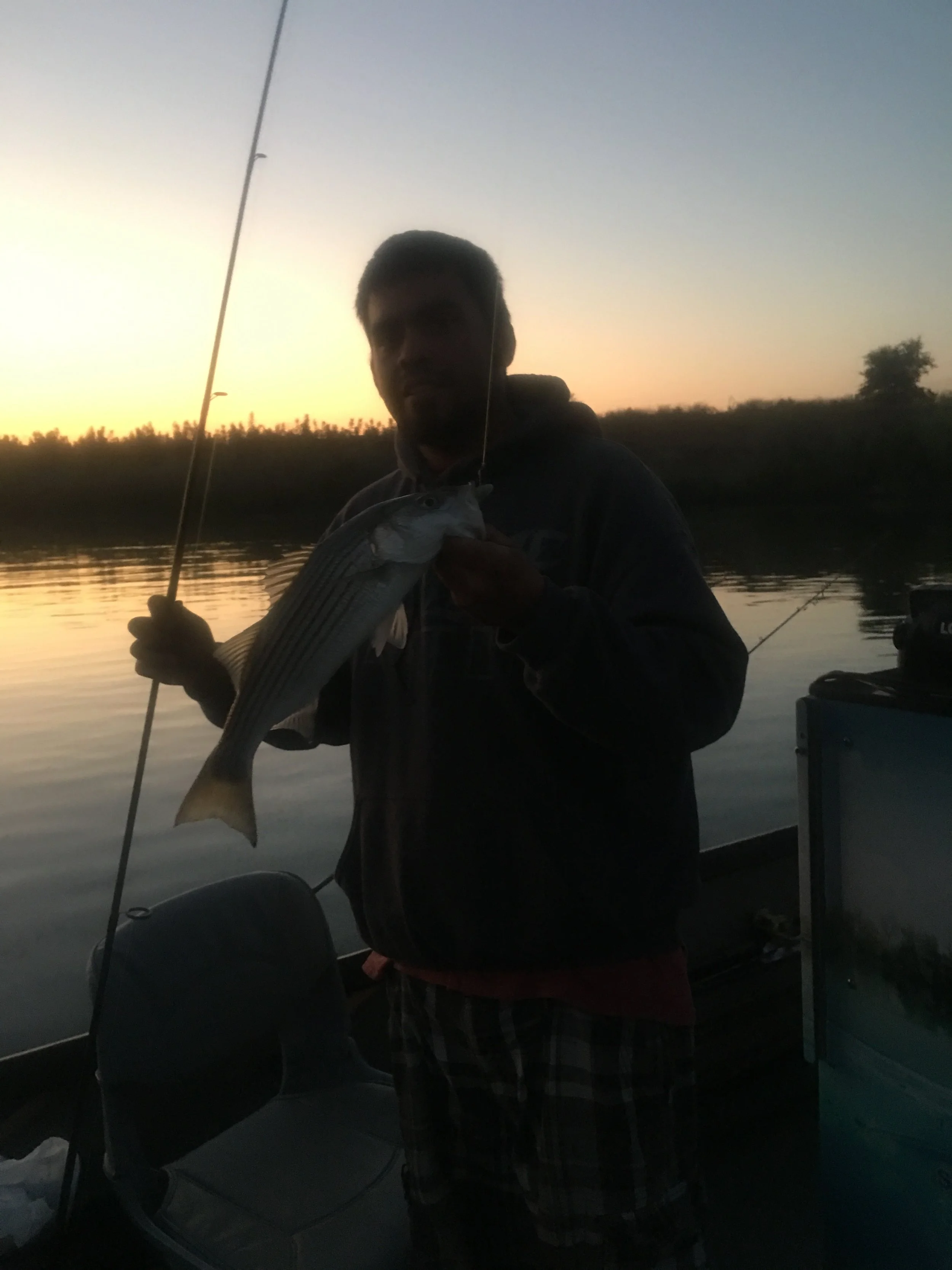 Sacramento River Striped Bass Caught On September 11, 2016