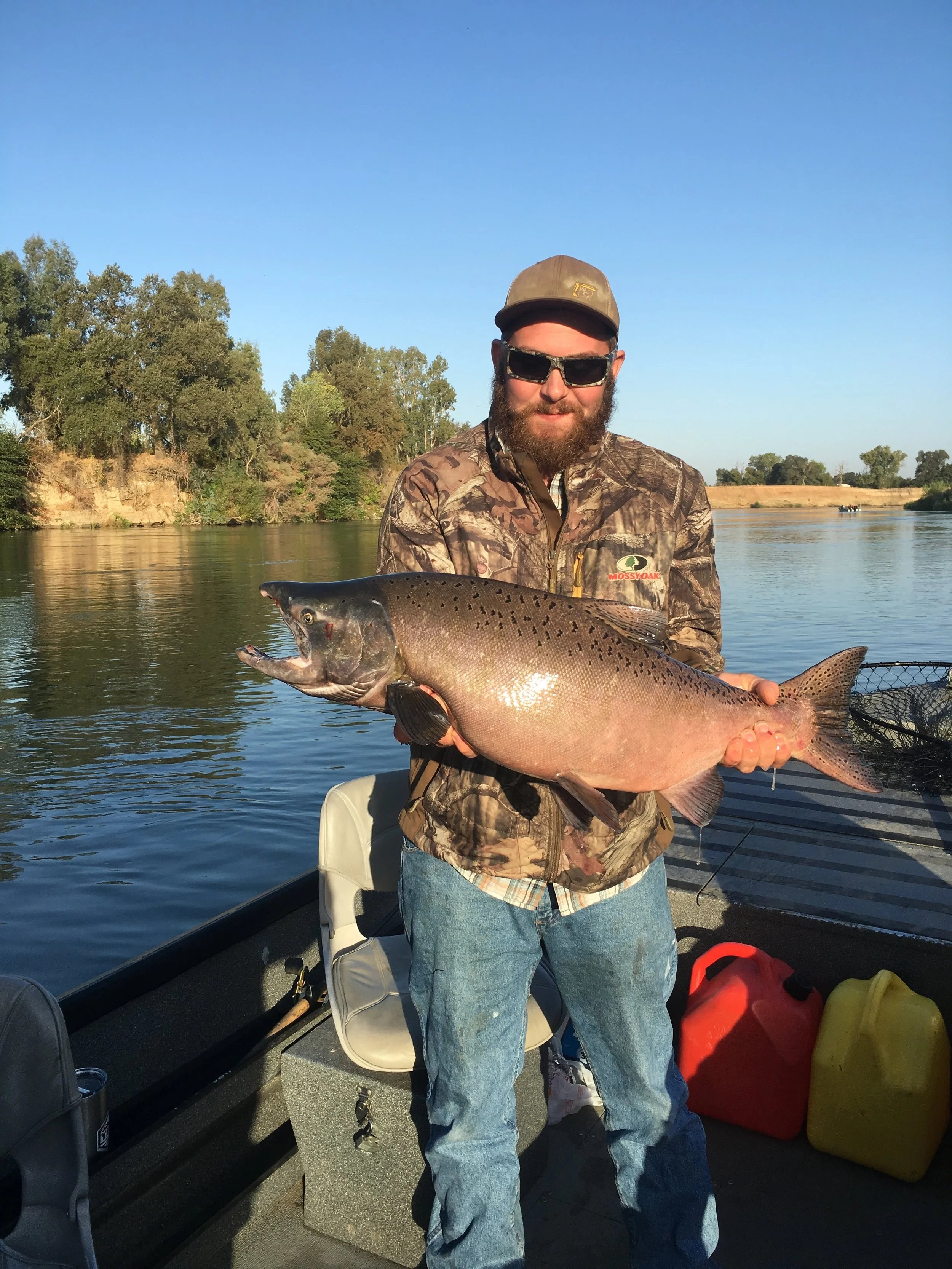 Justin Holds a Big Buck Sacramento River Salmon On August 15, 2016
