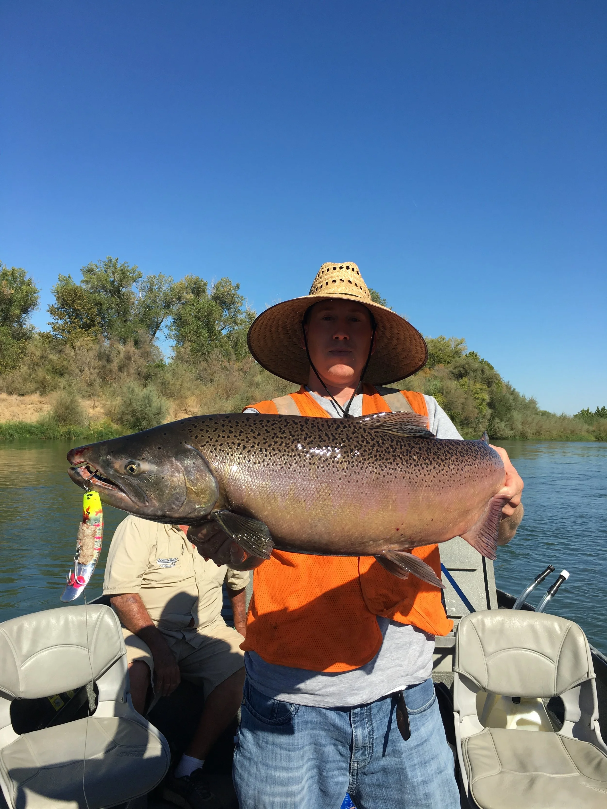 Sacramento River King Salmon Caught On September 19, 2016