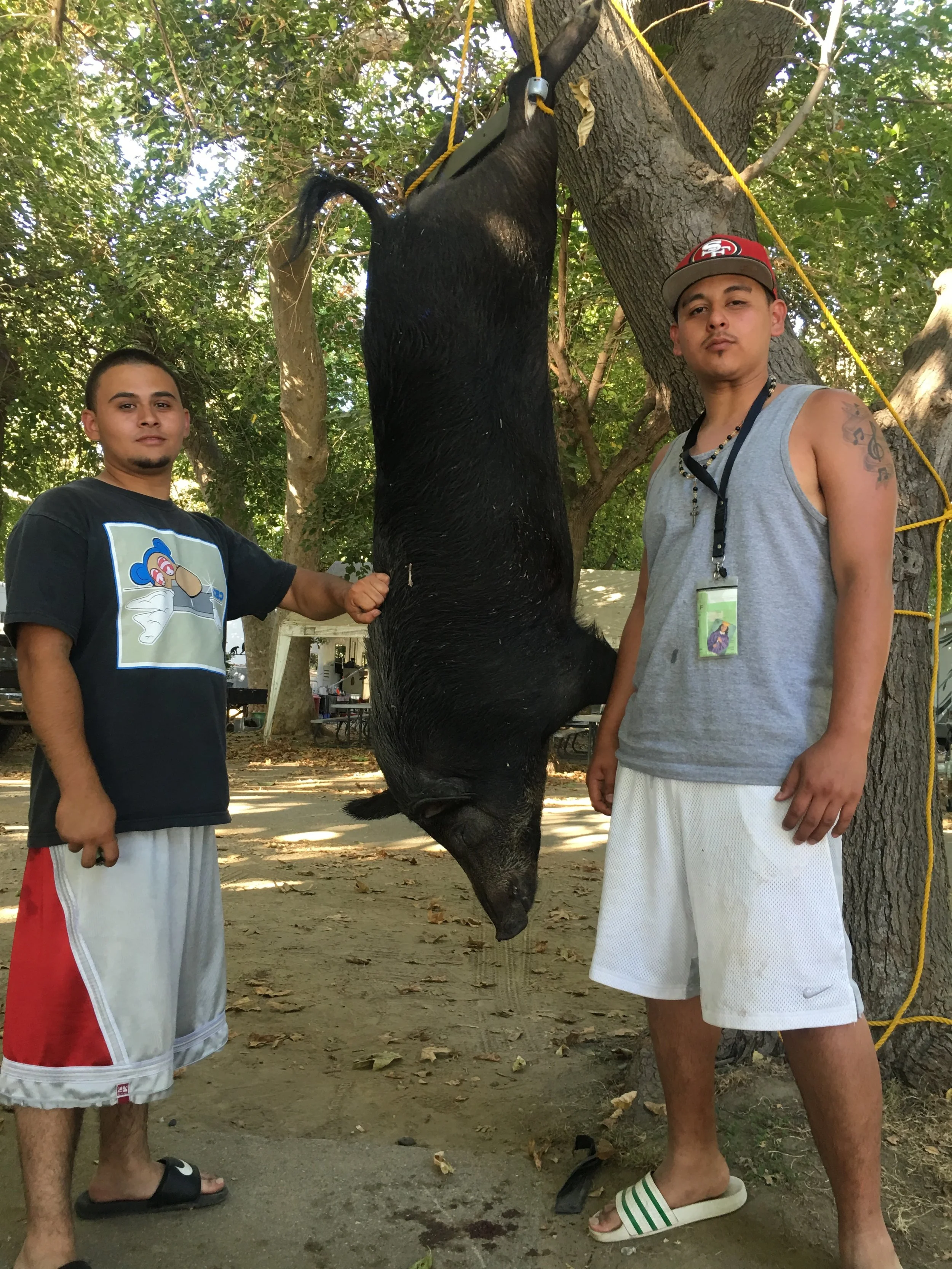 Sacramento River Salmon Fishing Trip Turns Into Wild Pig Hunt