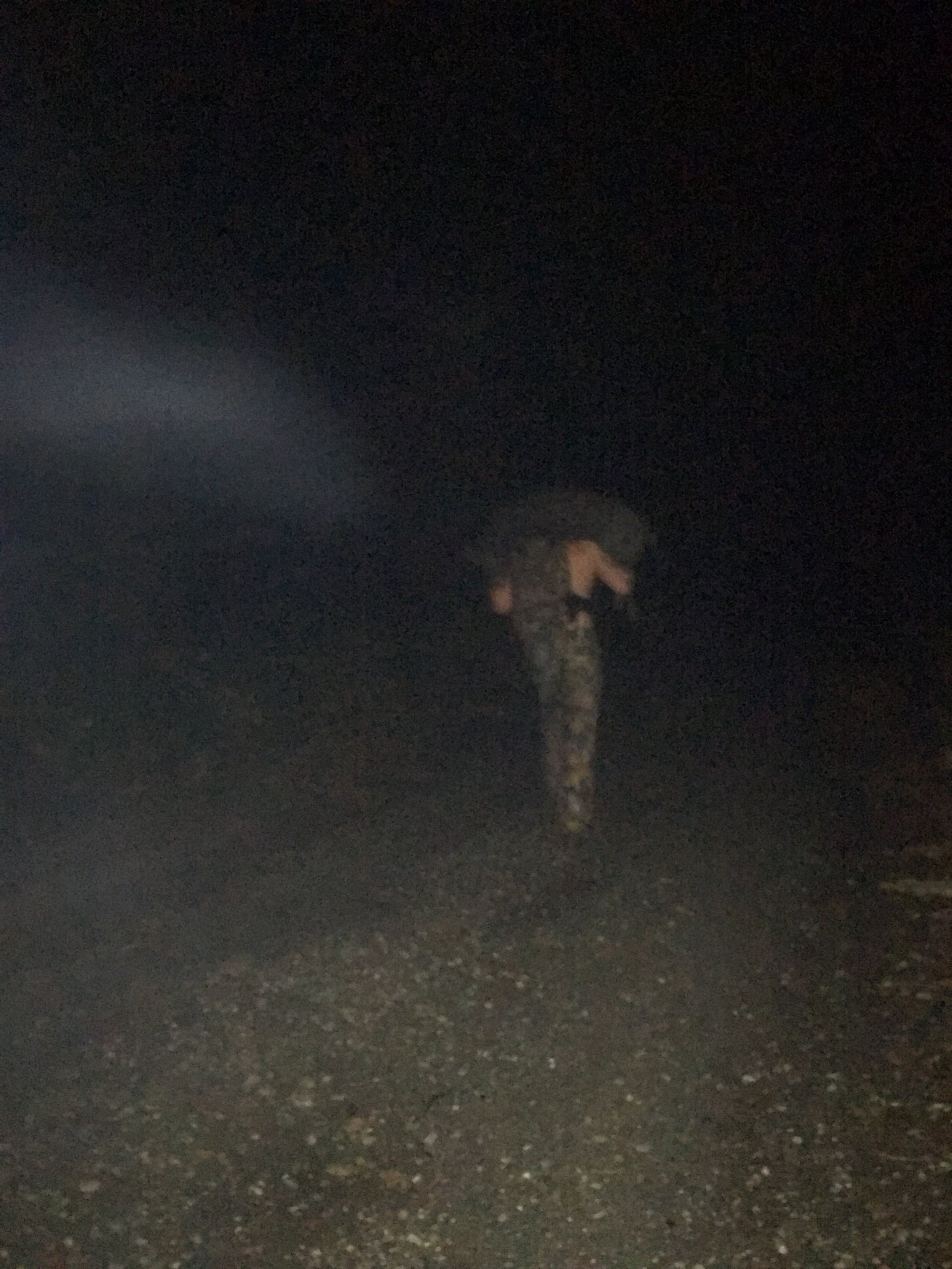 Sacramento River Wild Pig Shot October 2, 2016