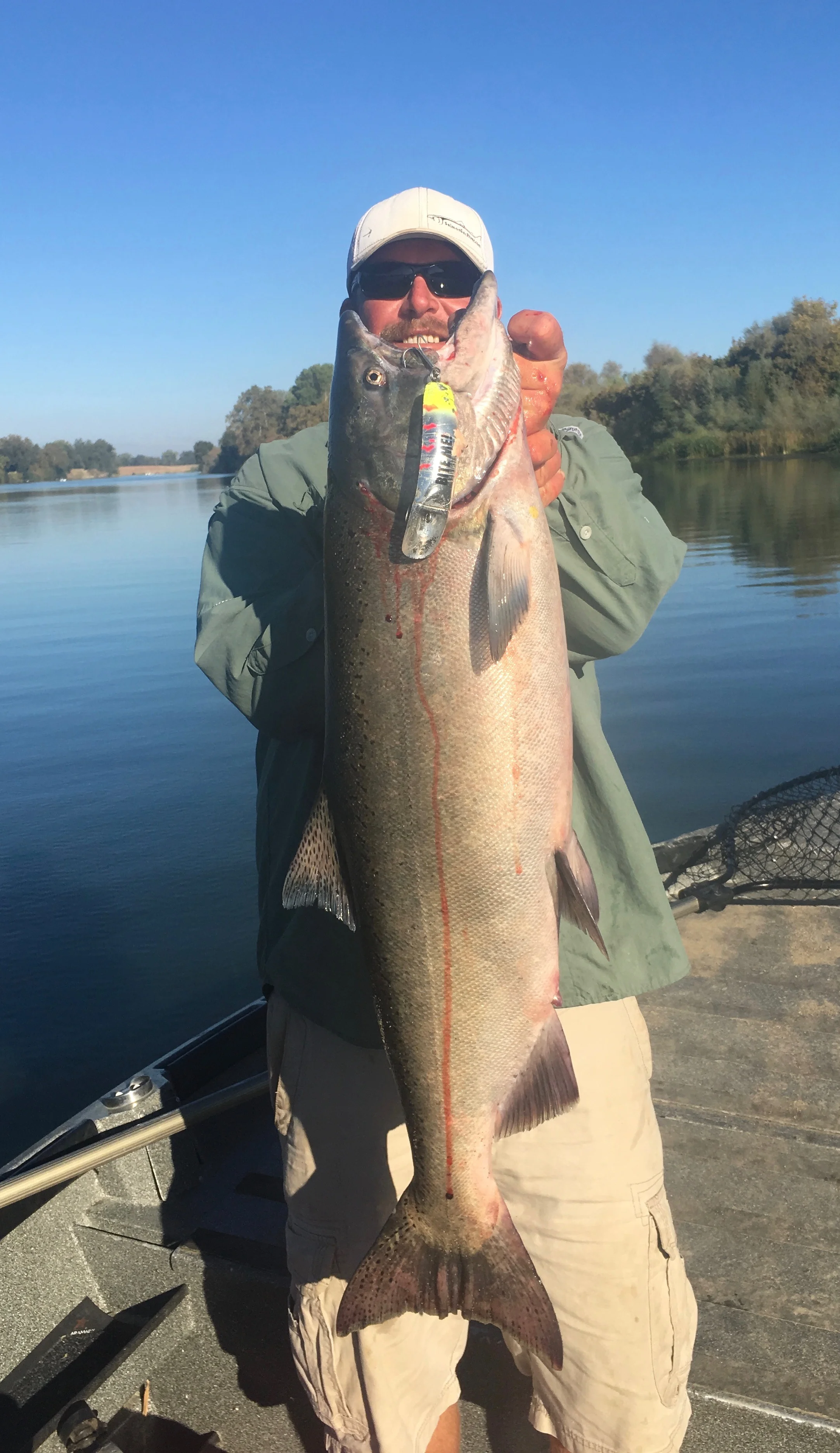 Sacramento River Salmon Caught By SalmonSacRiver.com Guide
