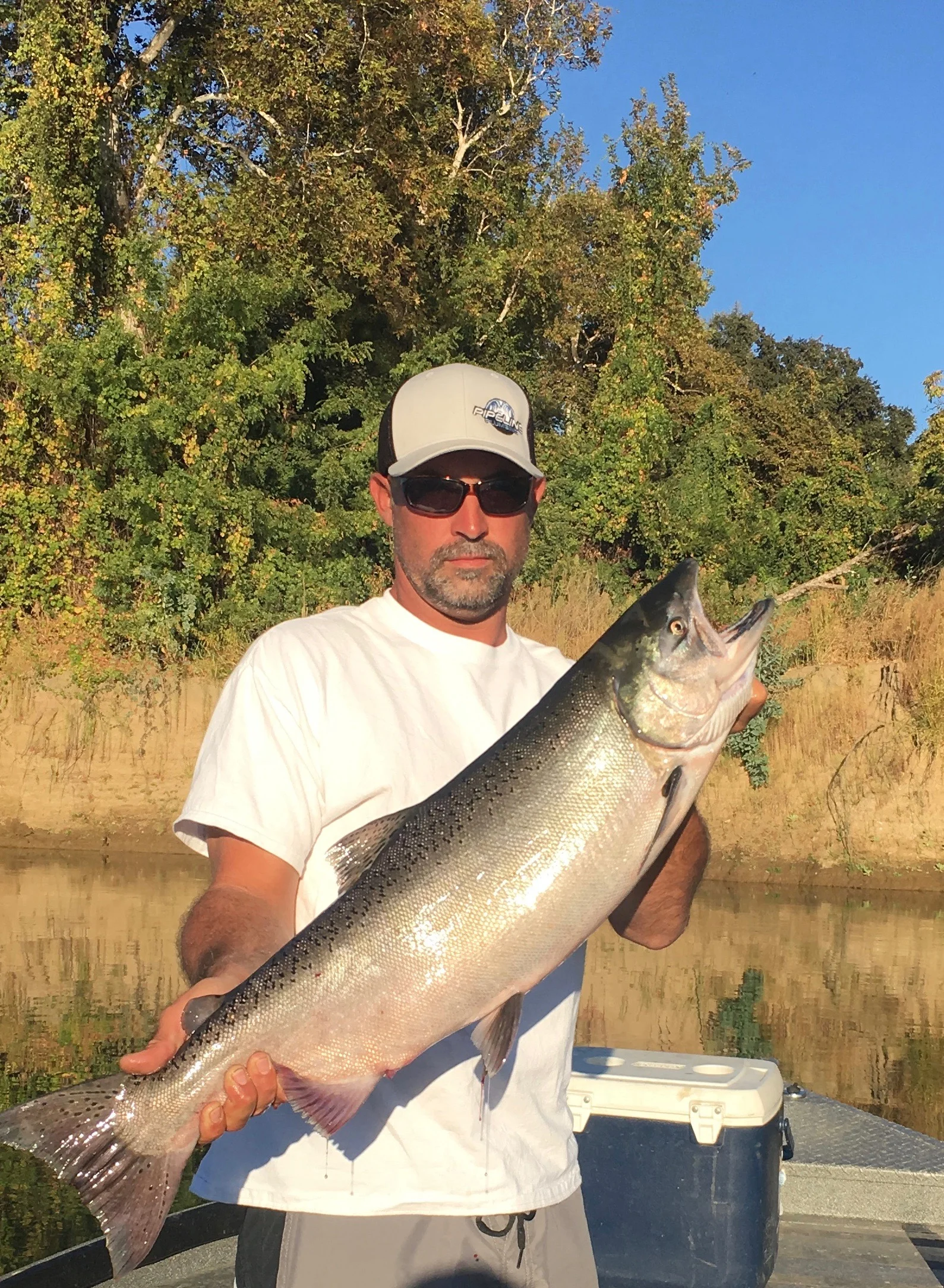 Robert Petty Holding A Chrome Bright Sacramento River Salmon
