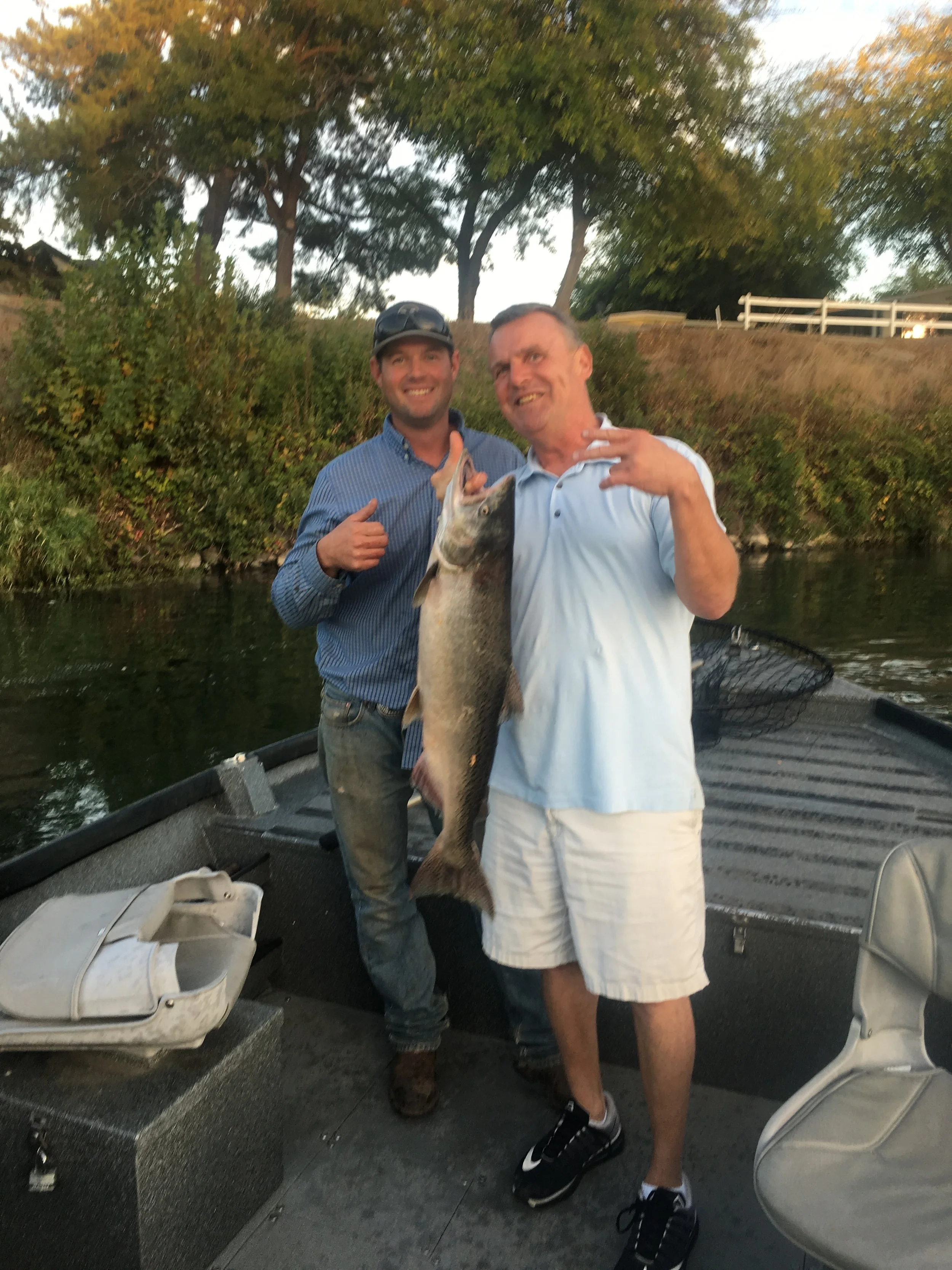 Sacramento River Salmon In The Boat, October 7, 2016