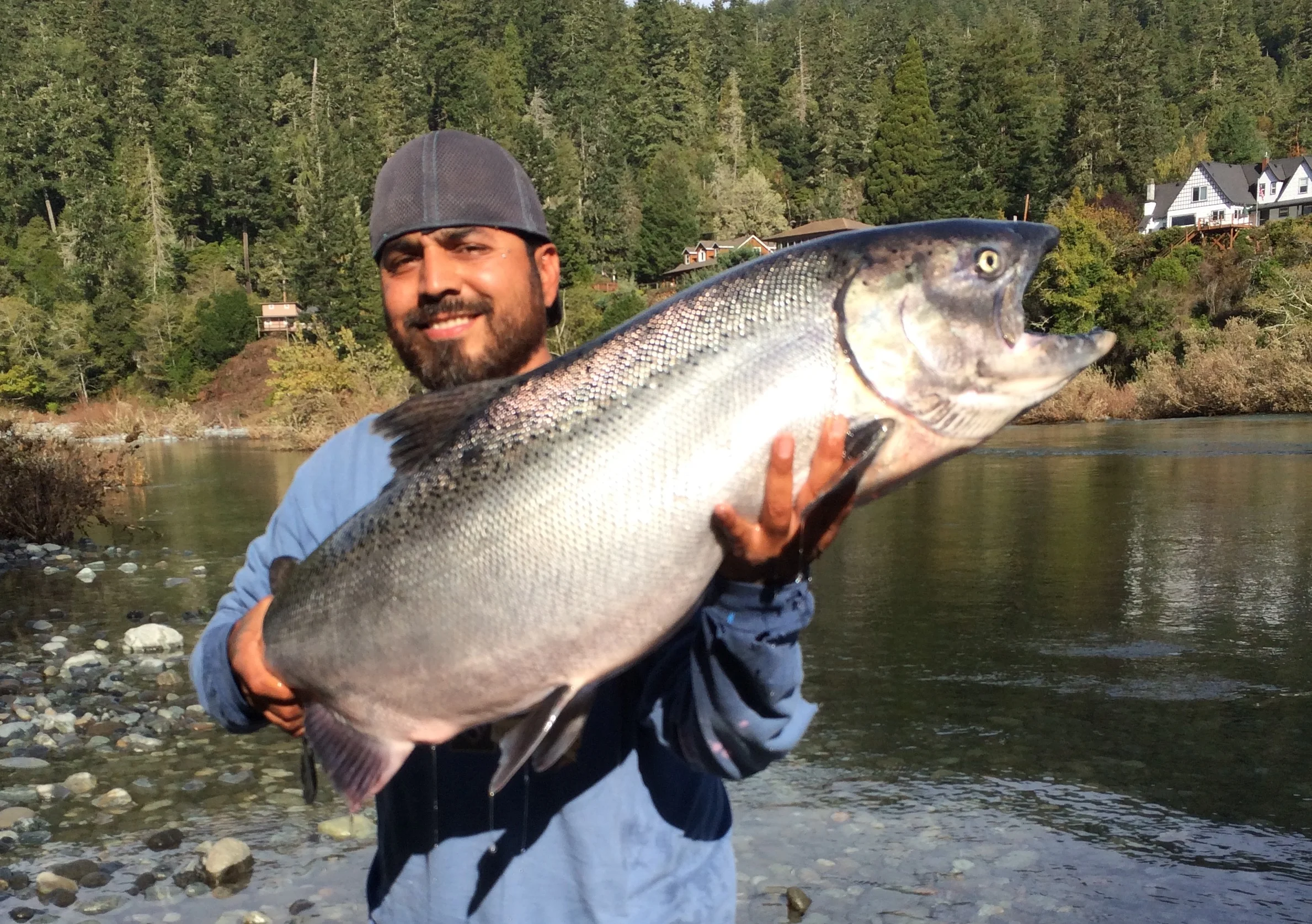 Chrome Smith River Salmon Like This One Are Swimming By Now!!!!!!