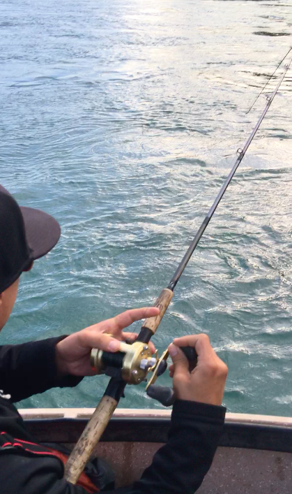 Chetco River Salmon On The Line, November 4, 2016