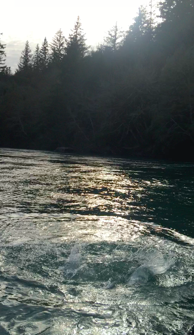 Northern California Salmon Fishing Guide In Oregon