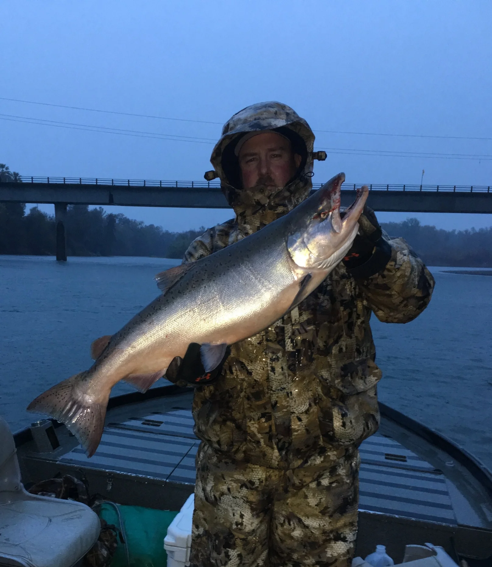 Late Fall Run Sacramento River Salmon Caught November 19, 2016