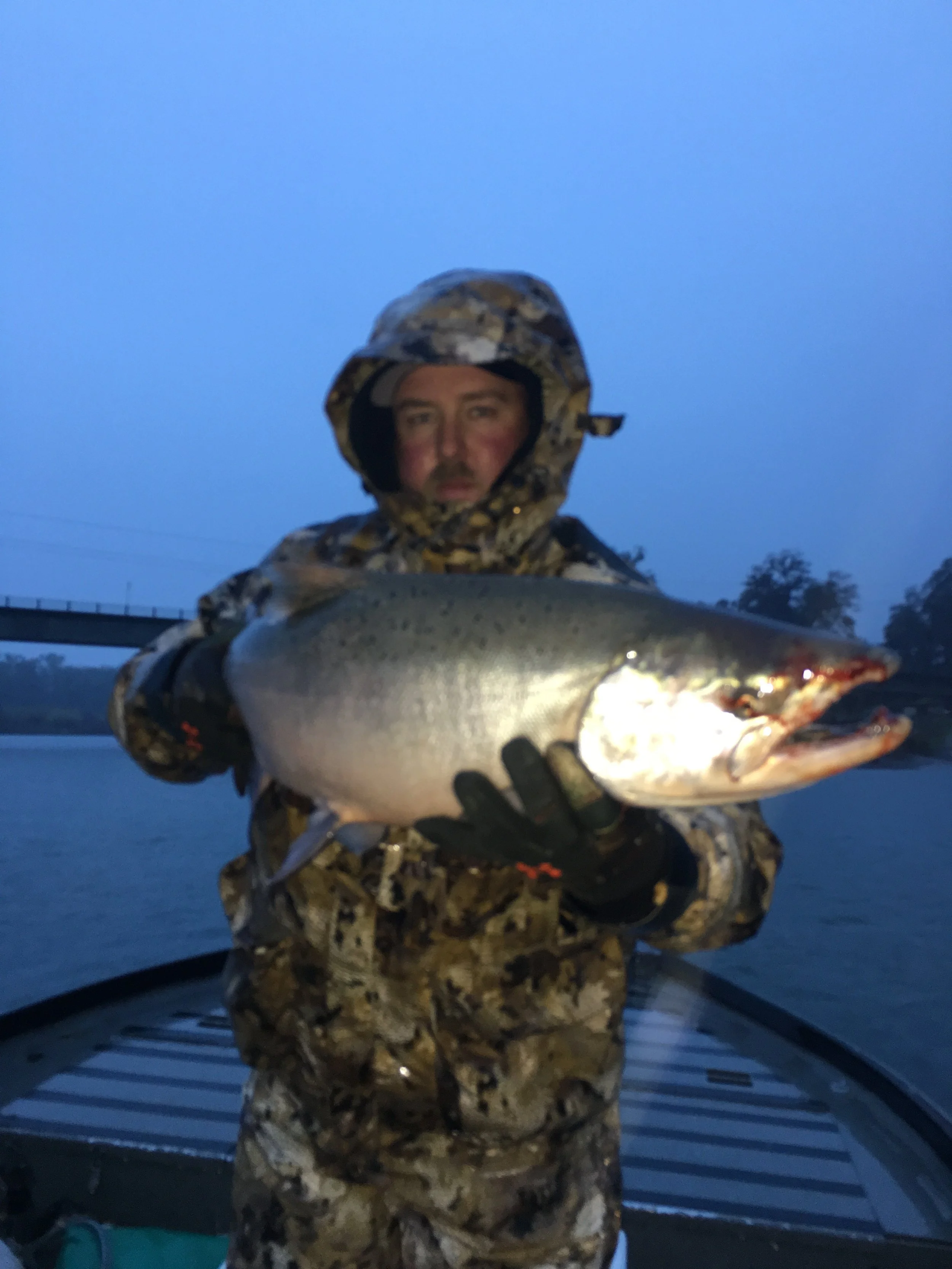 Adam Benoit from Vacaville, Ca hold a 18 pound Late Fall Run buck Chinook Salmon he caught with SalmonSacRiver.com salmon fishing guide Mike Rasmussen on November 19, 2016 on the first pass of the morning on the Sacramento River at Woodson Bridge near Corning, Ca.