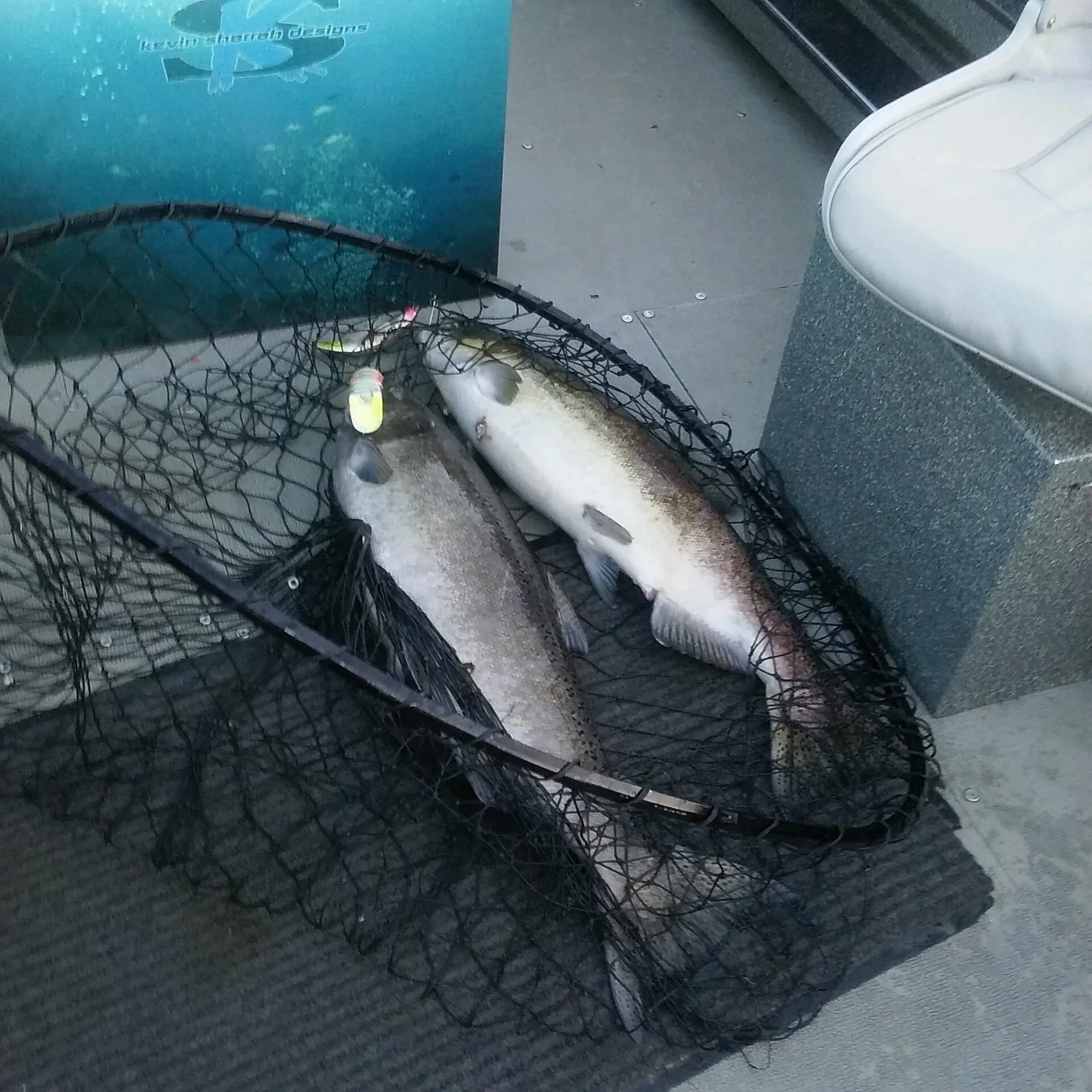 Double Hook Up On King Salmon With SalmonSacRiver.com
