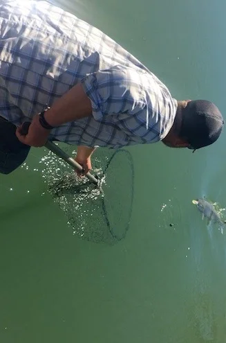 Sacramento River Fishing With Salmon Fishing Guide Mike Rasmussen