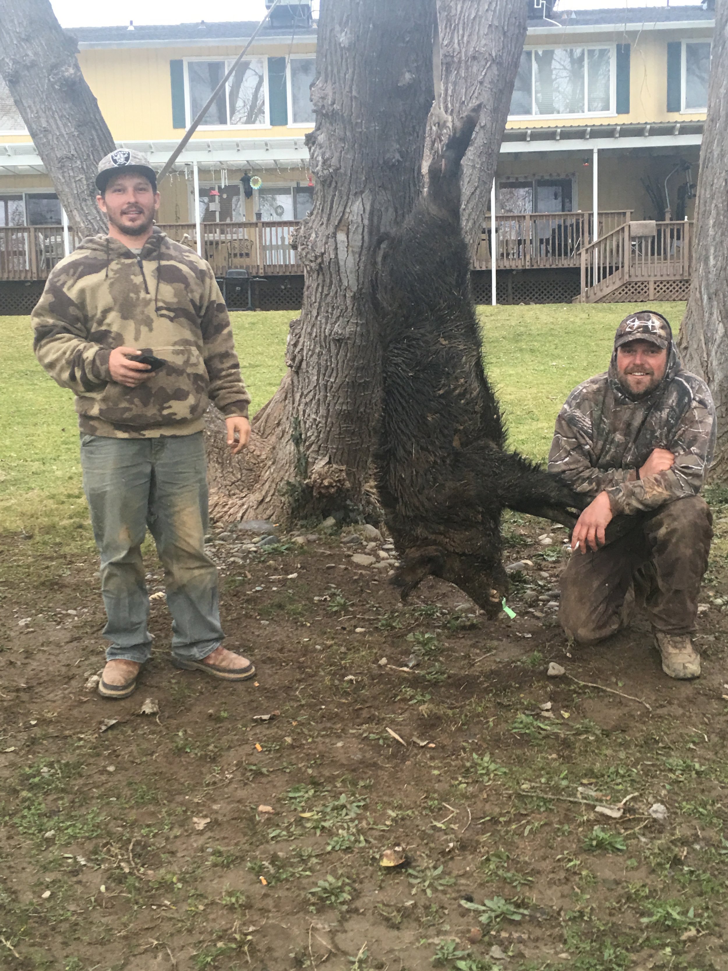 Northern California Wild Boar Hunting