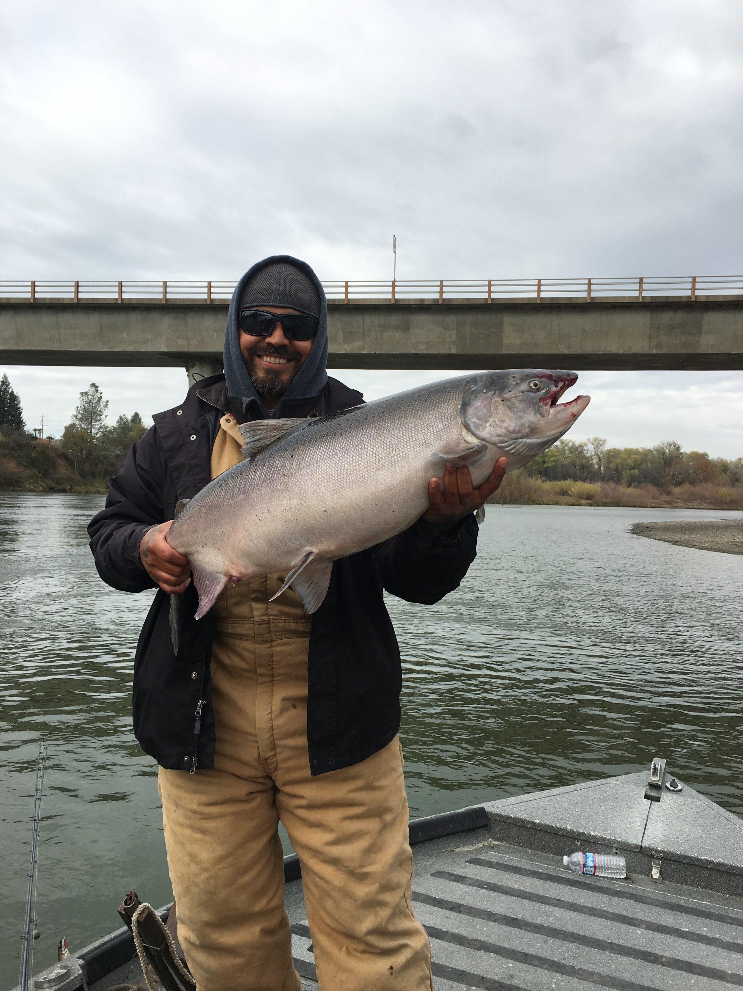 Juan Nava from Red Bluff, Ca, owner and artist at First Love Tattoo also in Red Bluff, Ca holds a Sacramento River Late Fall King Salmon caught in late November with SalmonSacRiver.com&nbsp;salmon fishing guide Mike Rasmussen. This chrome Sacramento…