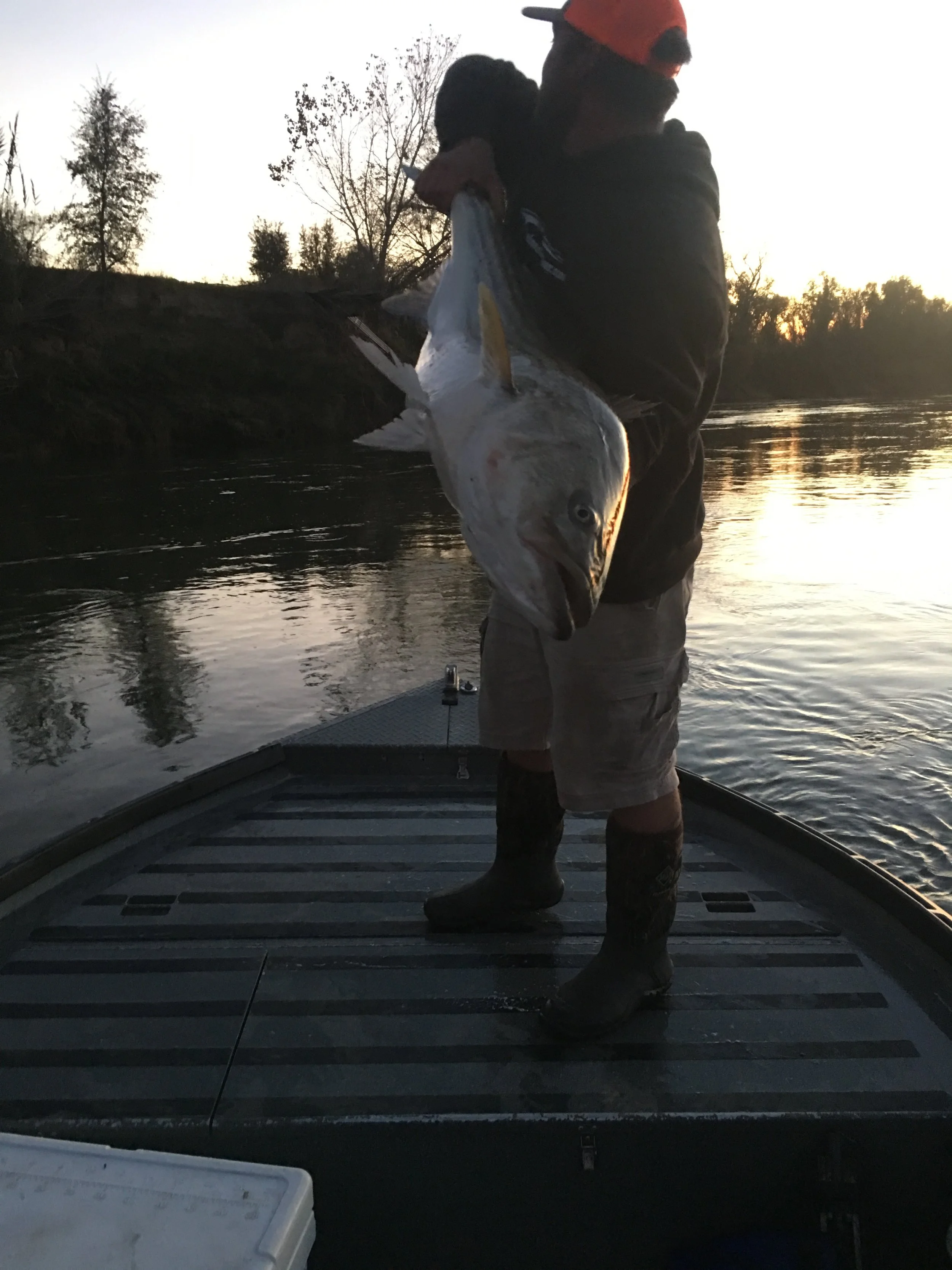 Sacramento River Fishing With SalmonSacRiver.com