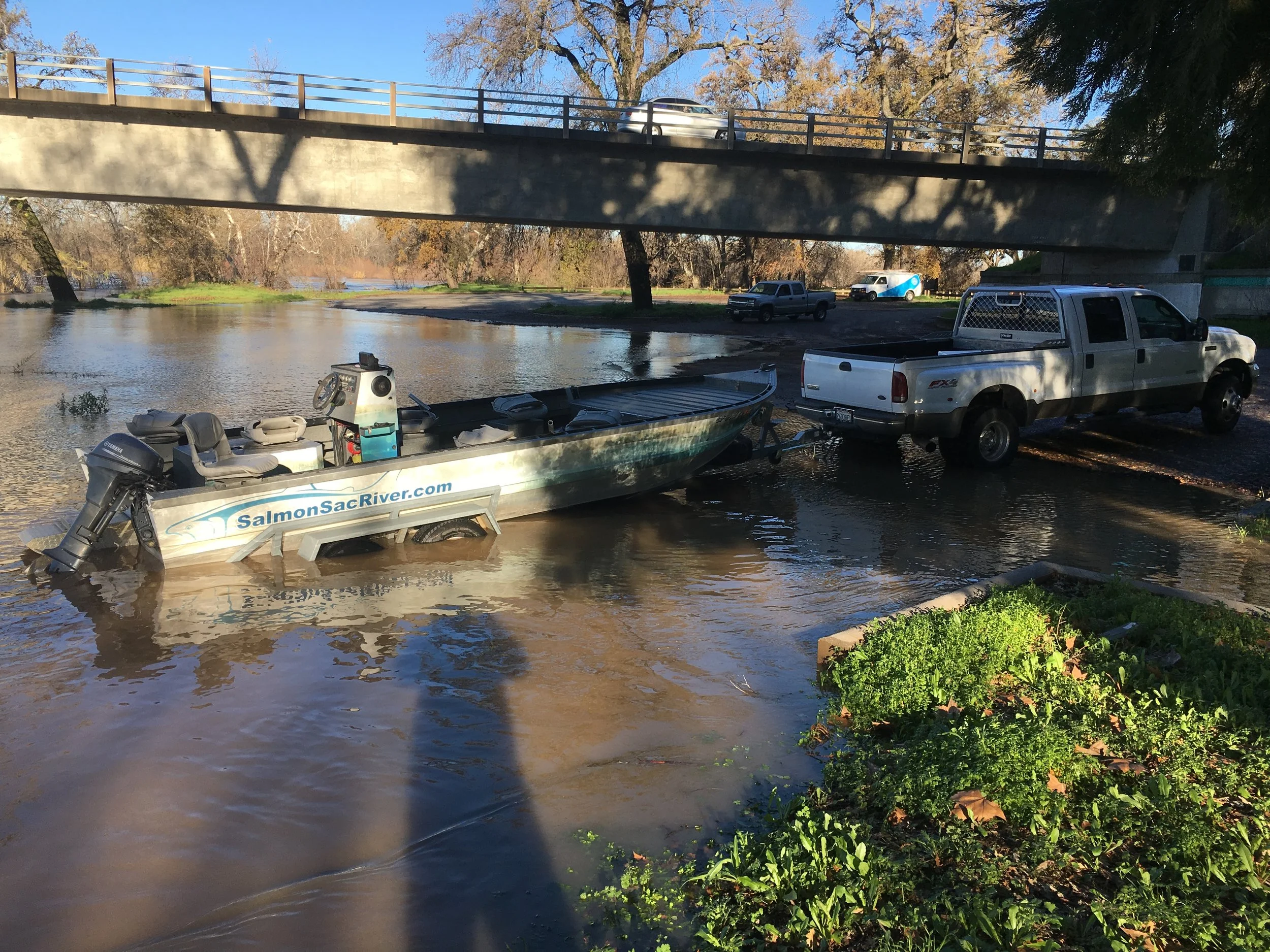 Sacramento River At Woodson Bridge, December 17, 2016