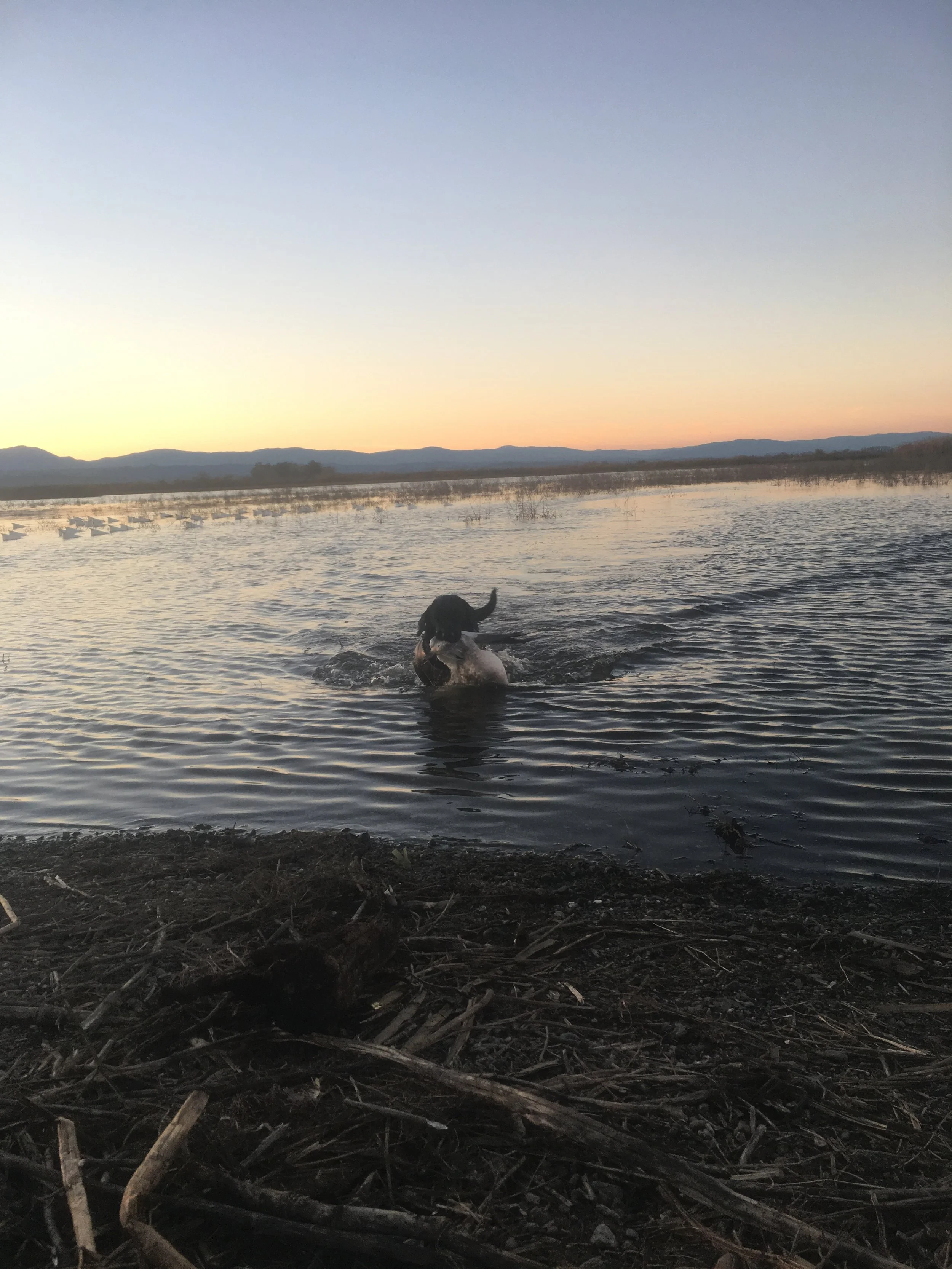 Duck Hunting With Guide Dakota Deinses