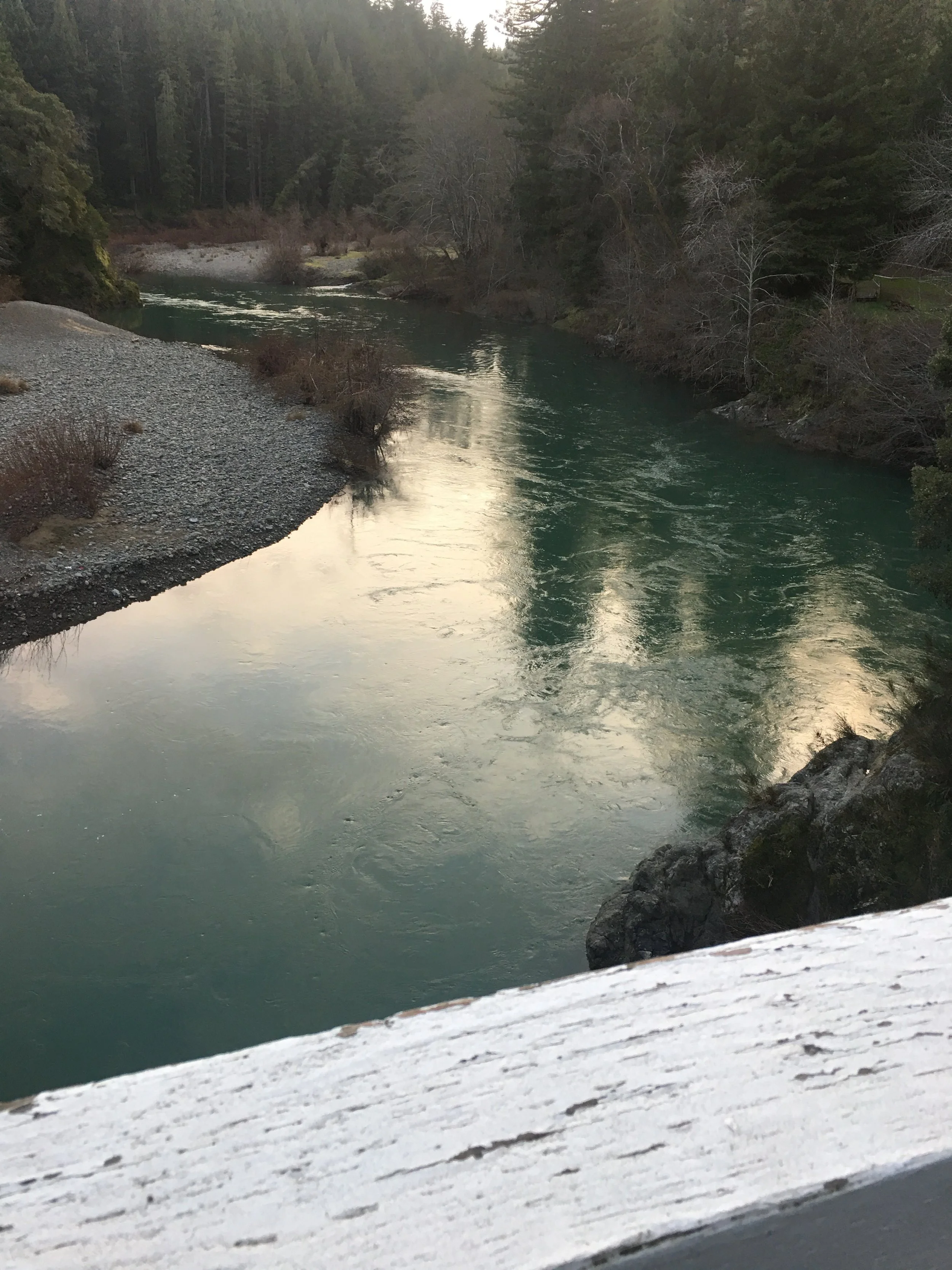 Sacramento River Salmon Season Is Closed. Now The Eel River