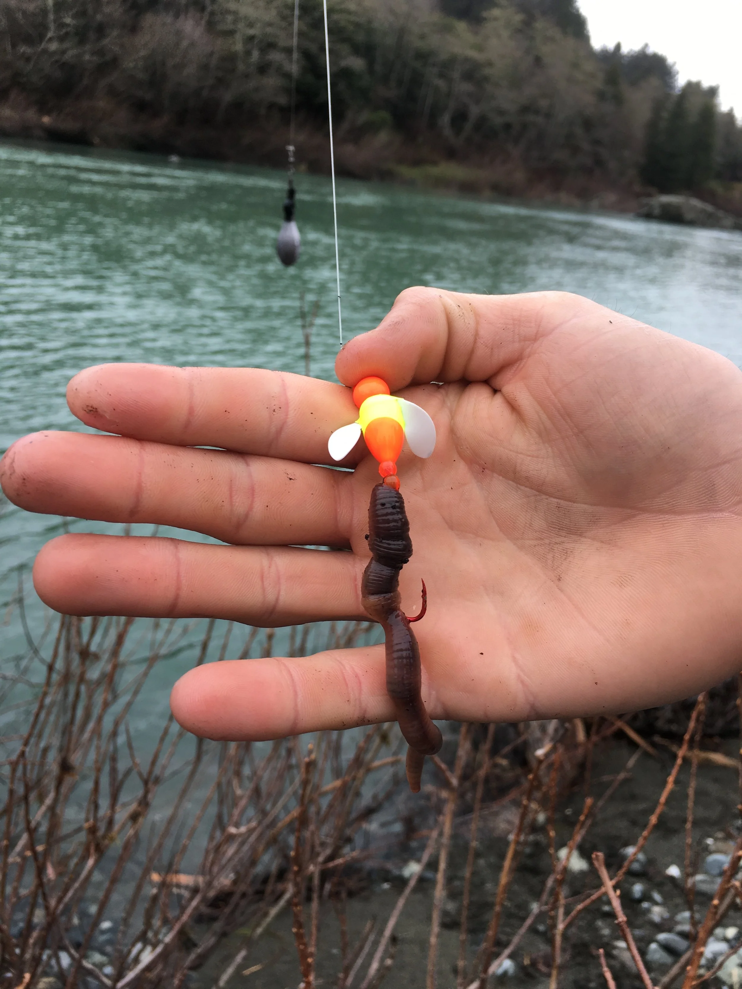 Secrets From The Sacramento River In Northern California