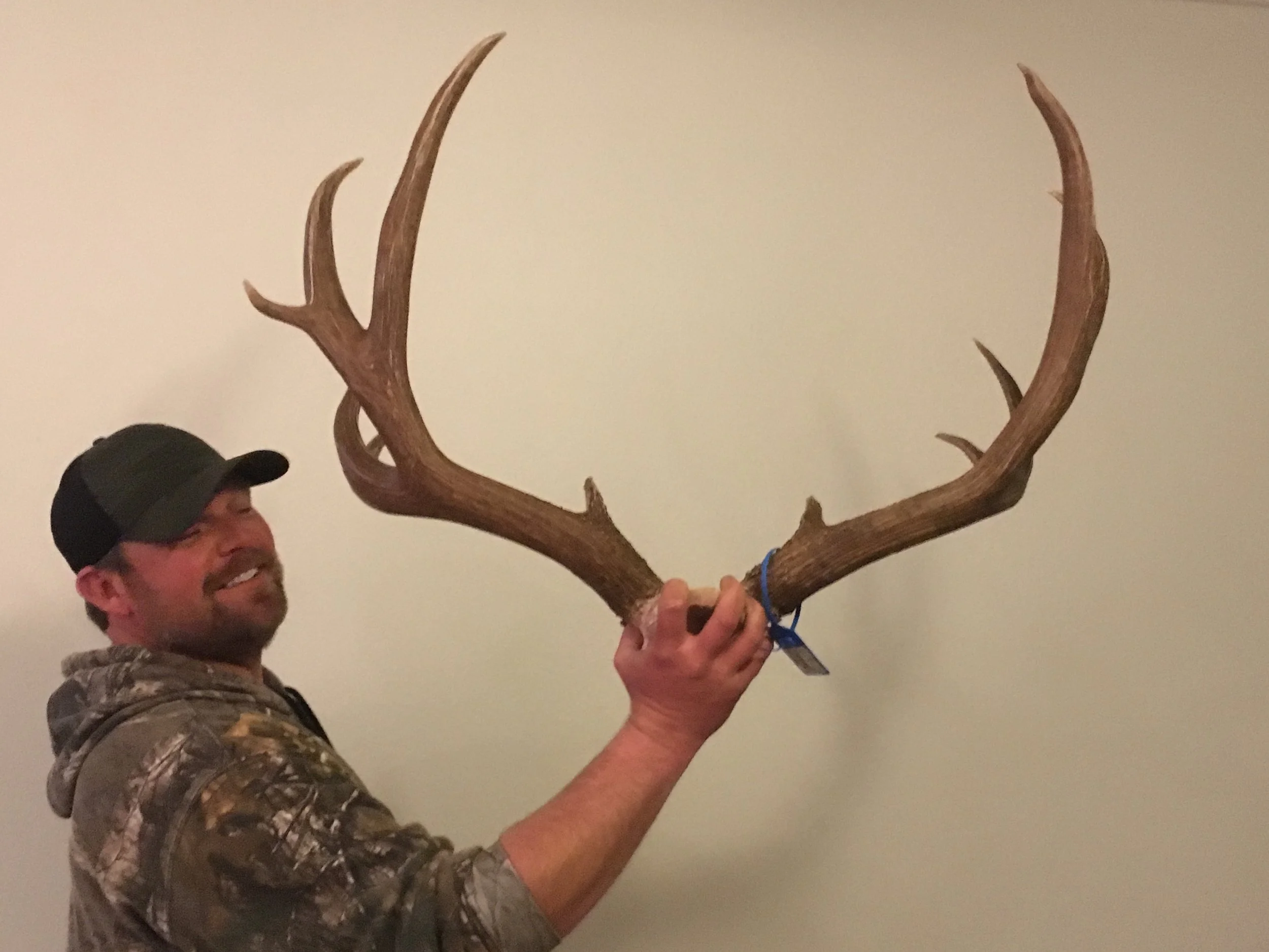 Desert Mule Deer Shot By Garrett Dixon In Mexico 2017