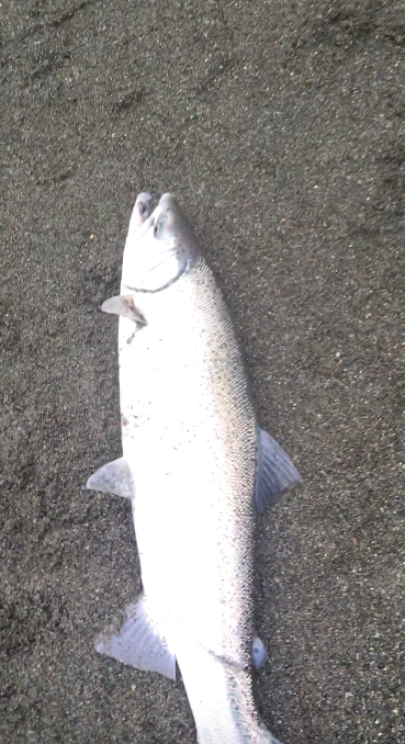 Jacob Frye Lands His First Smith River Steelhead