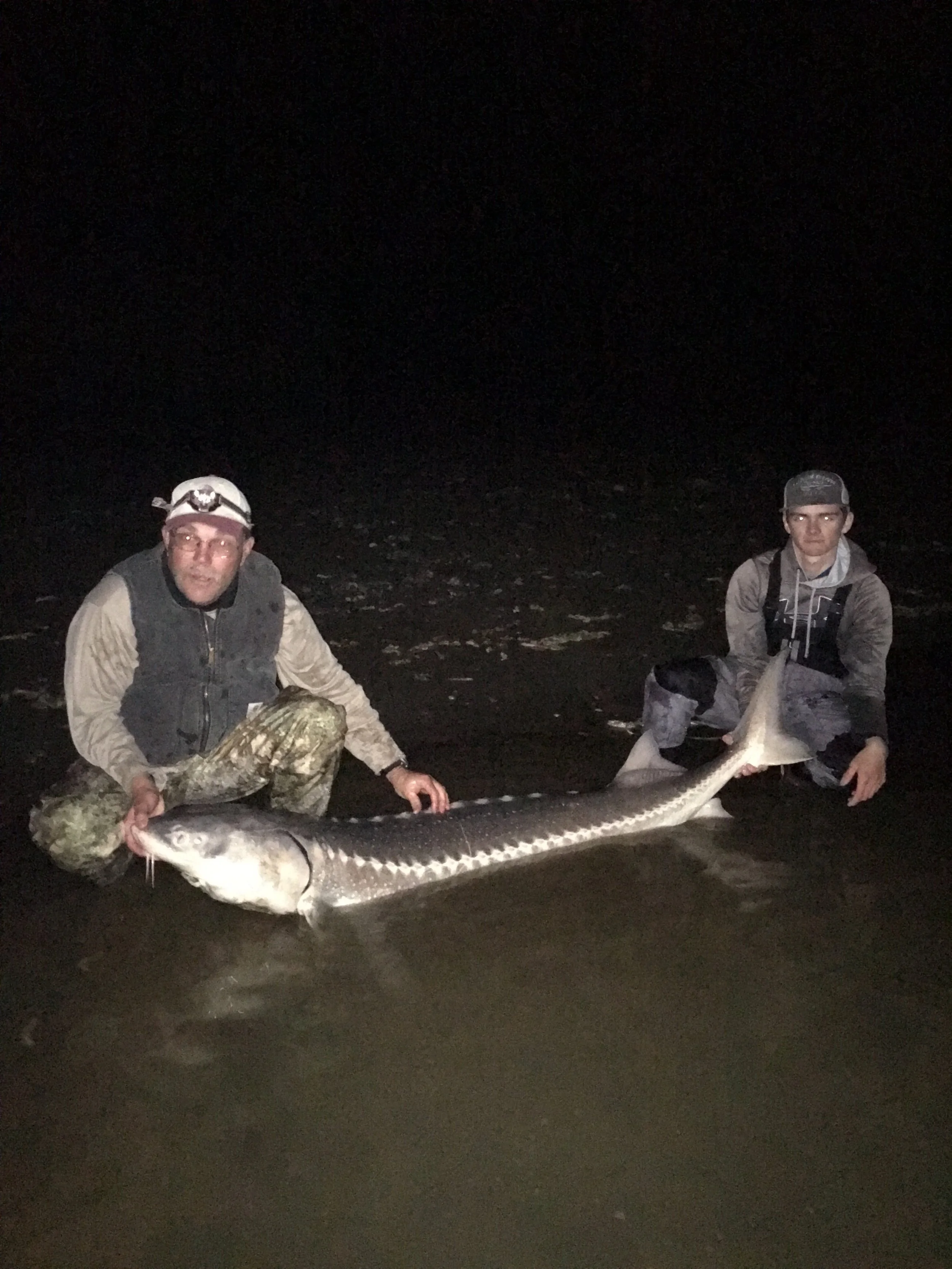 Ray Dreiss With ASacramento River White Sturgeon